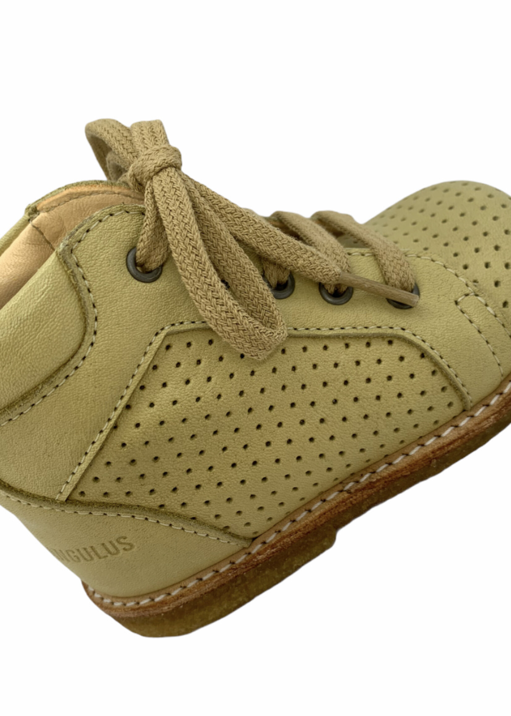 Angulus 3351-101 starter shoe with laces lime