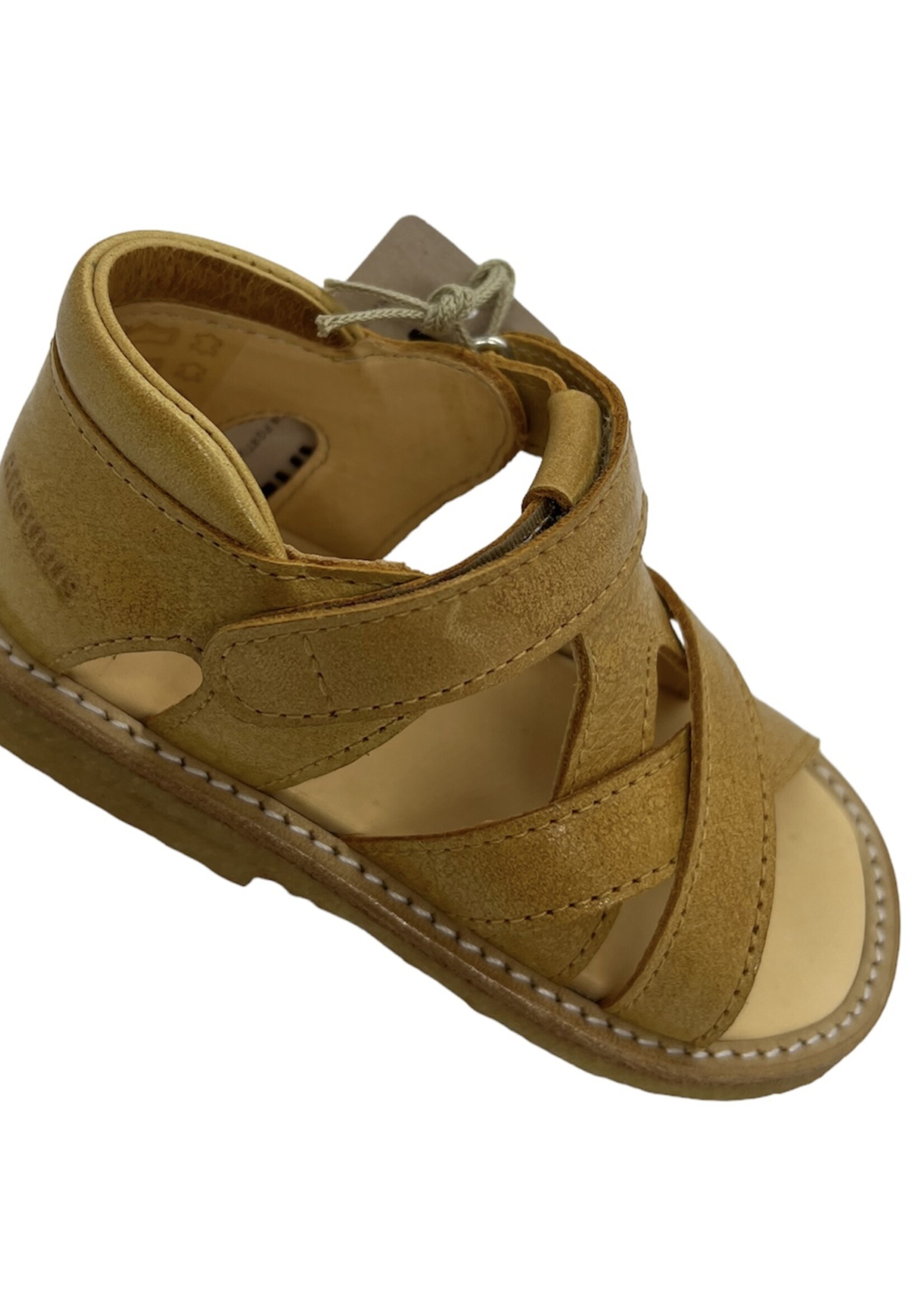 Angulus 5263-101 starter sandal velcro camel