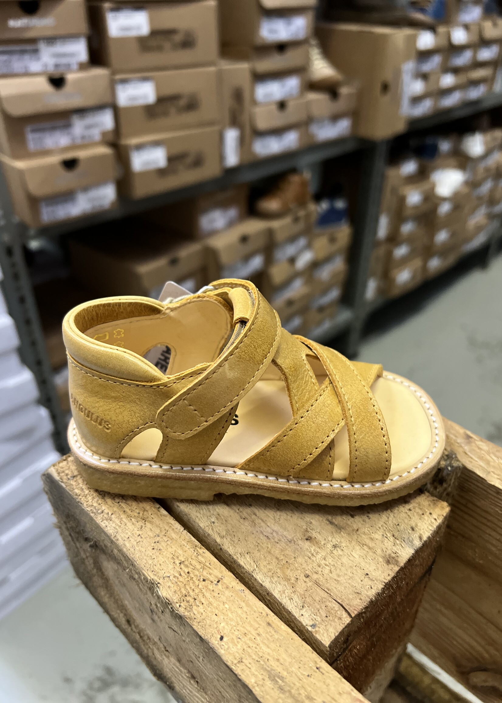 Angulus 5263-101 starter sandal velcro camel