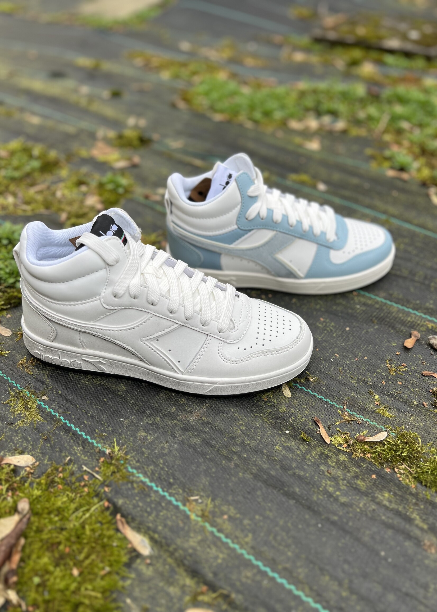 Diadora magic basket demi leather Omphalodes