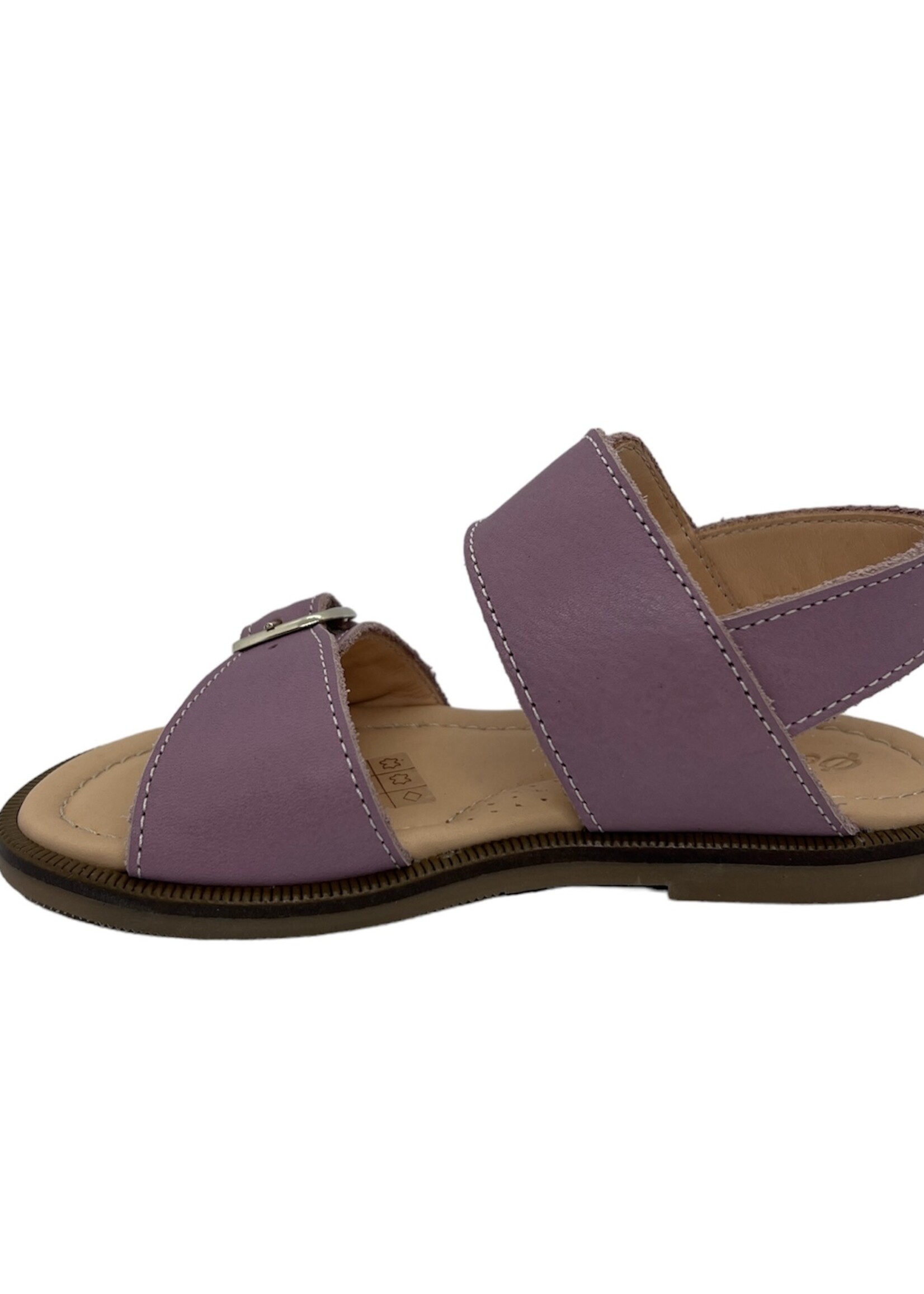 Ocra 613 sandaal ophis violet