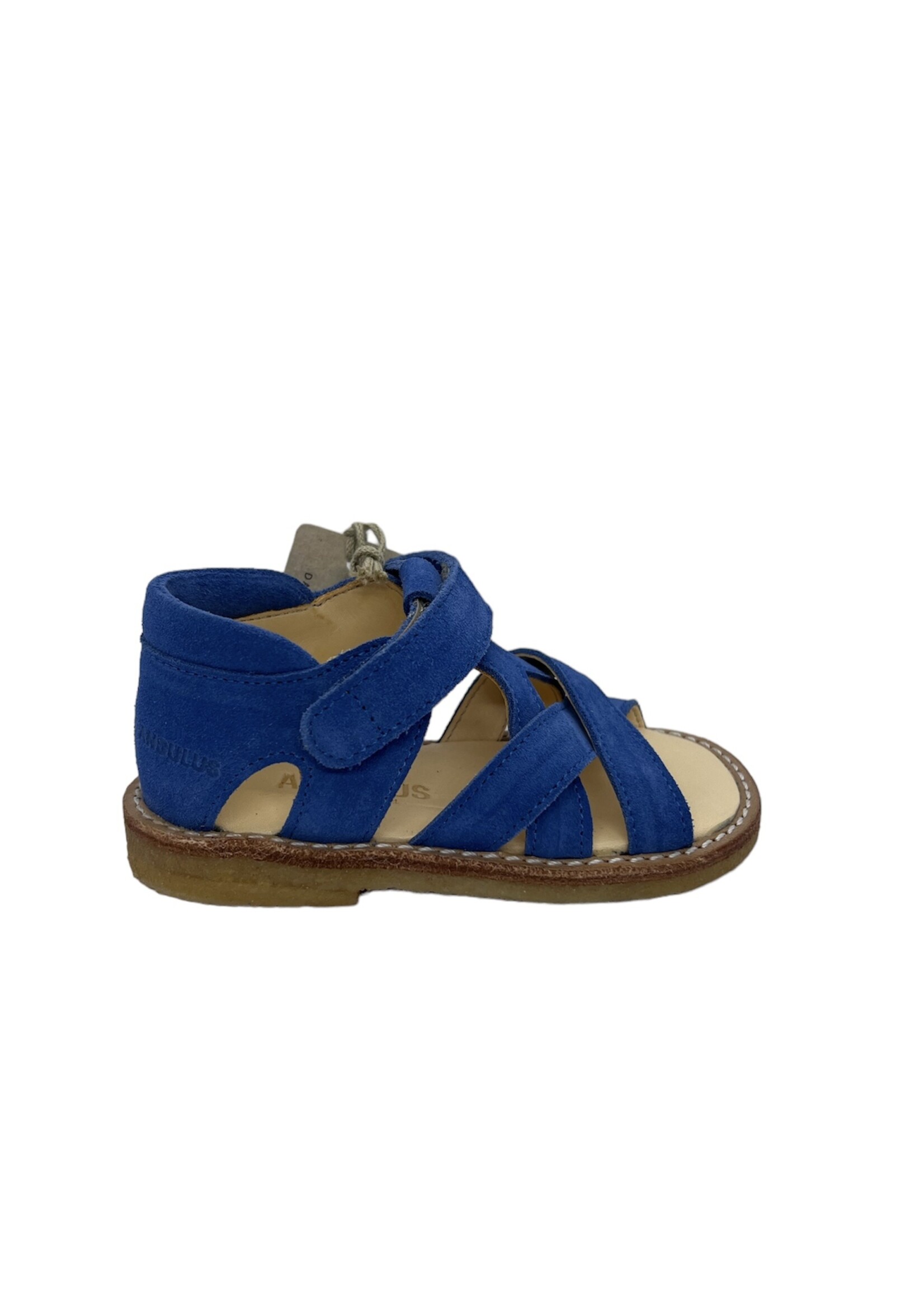 Angulus 5263-101 open toe sandal velcro dusty blue