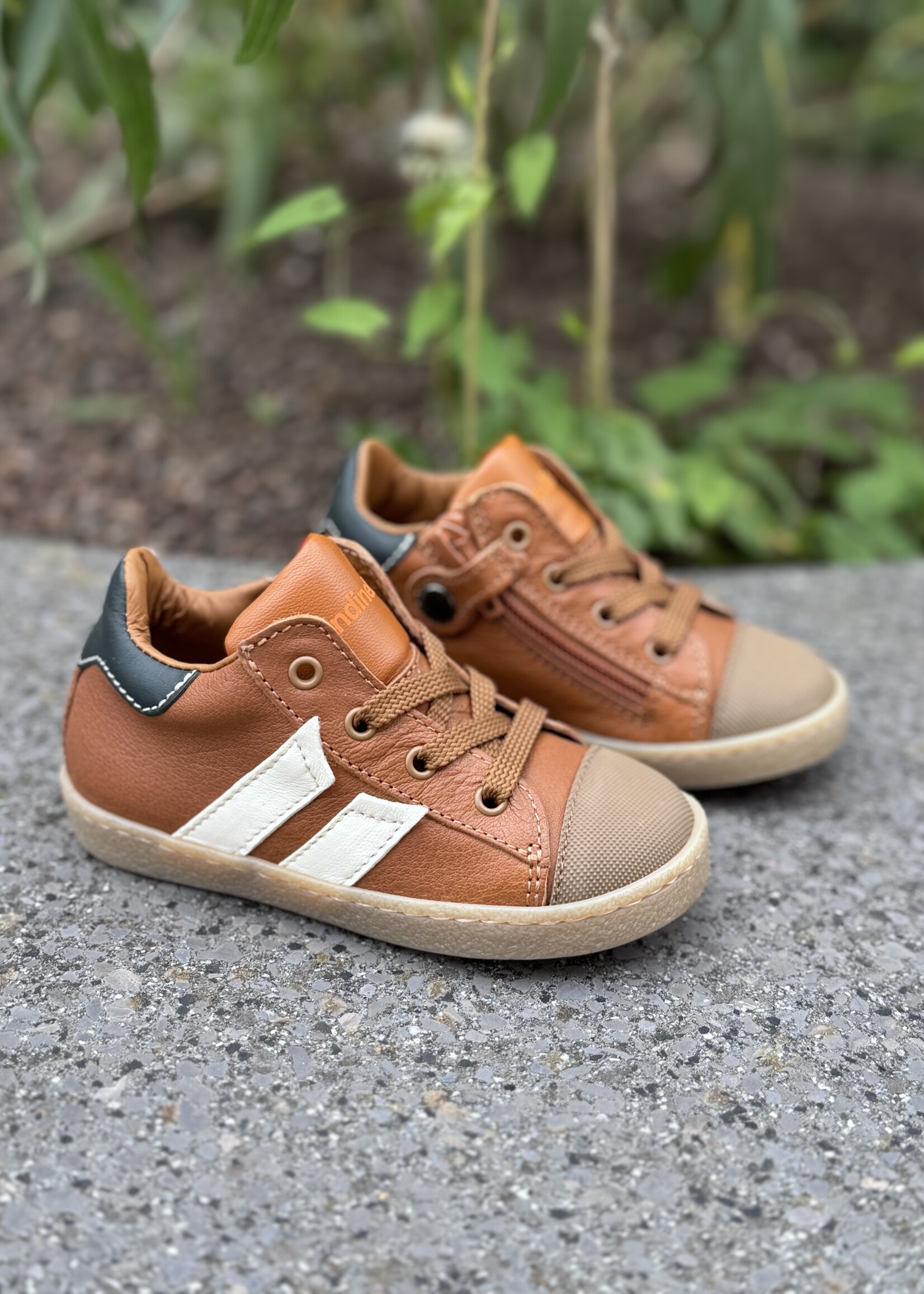 Rondinella 431612 eerste stapper cognac wit met tip