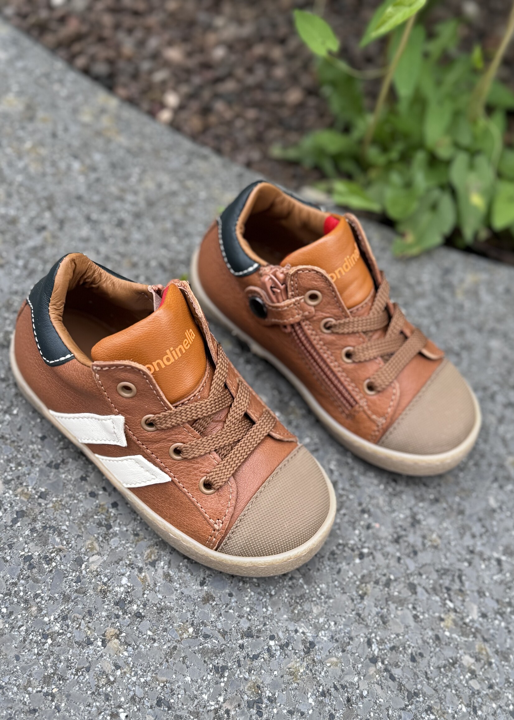 Rondinella 431612 eerste stapper cognac wit met tip