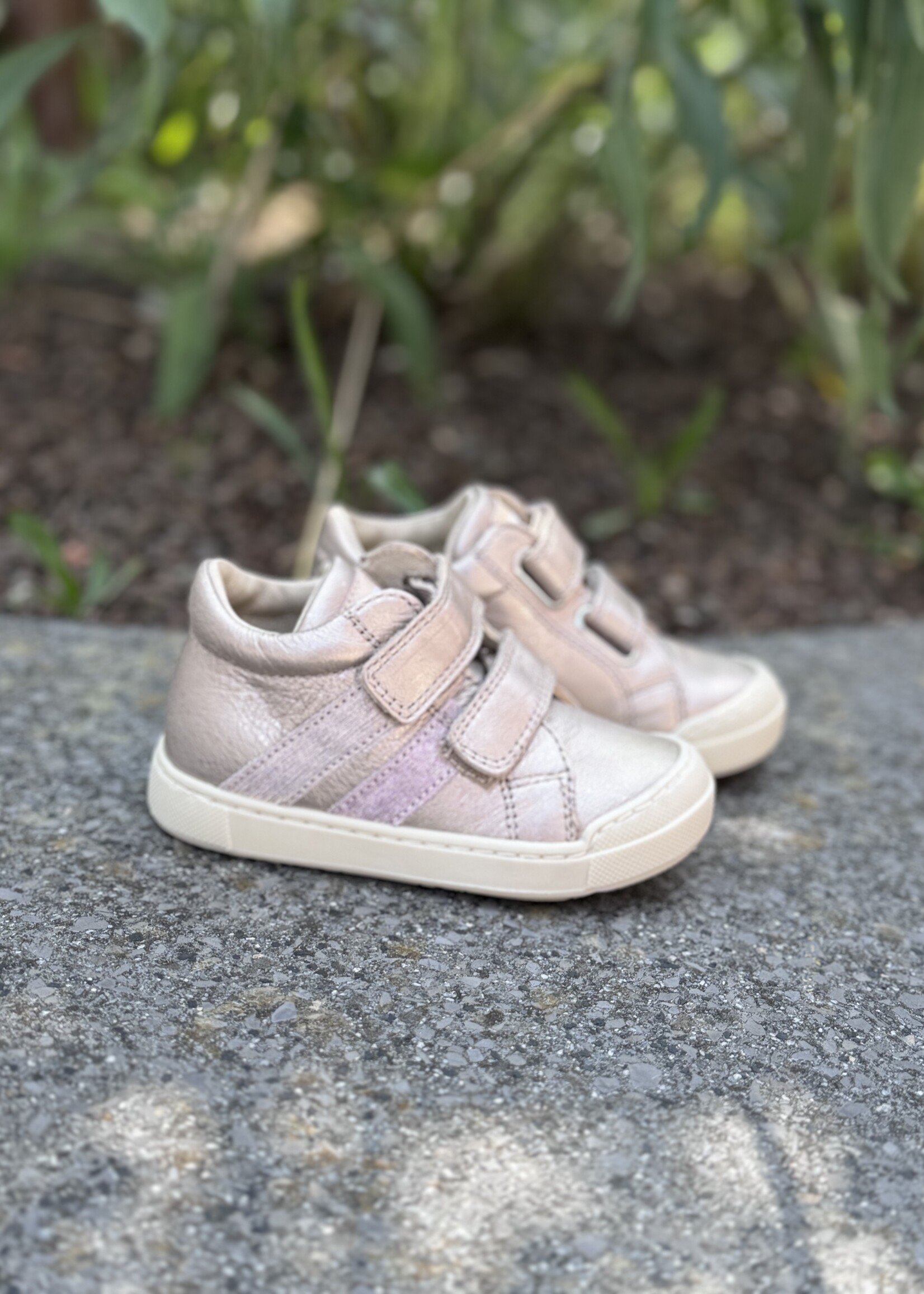Falcotto gazer velcro cipria pink
