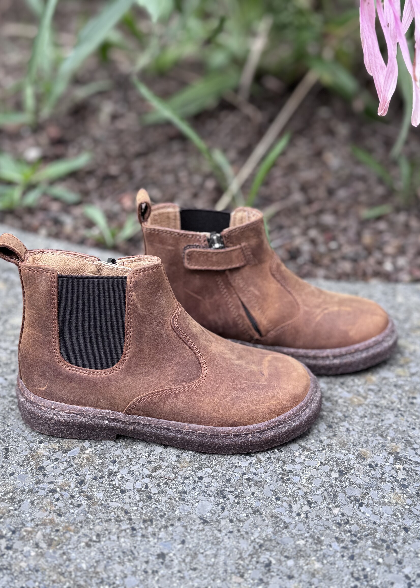 Pom d'api  trix jod zip bronco cognac