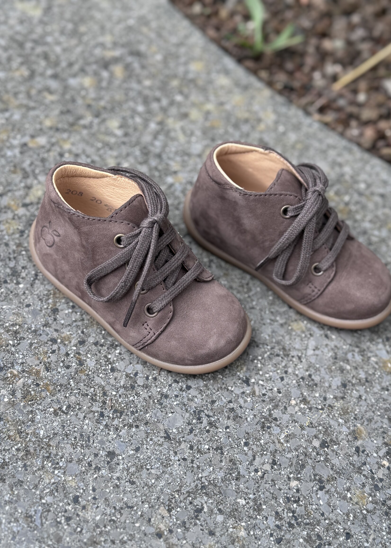 Pom d'api stand up bottine nubuck taupe