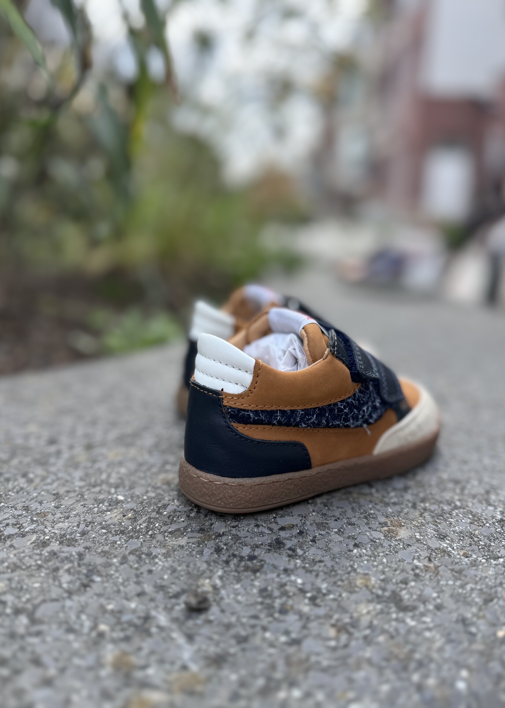 Pom d'api mousse backy nubuck camel marine