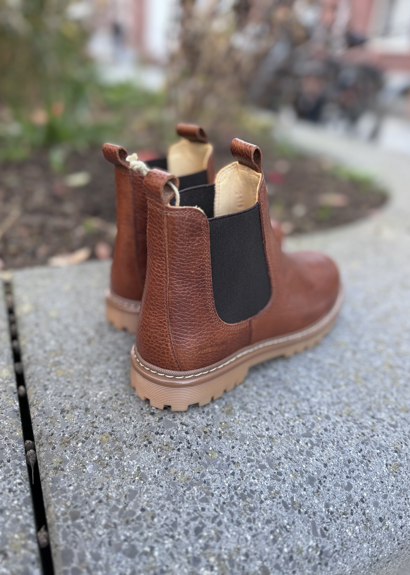 Angulus 2179-101 chelsea boot medium brown