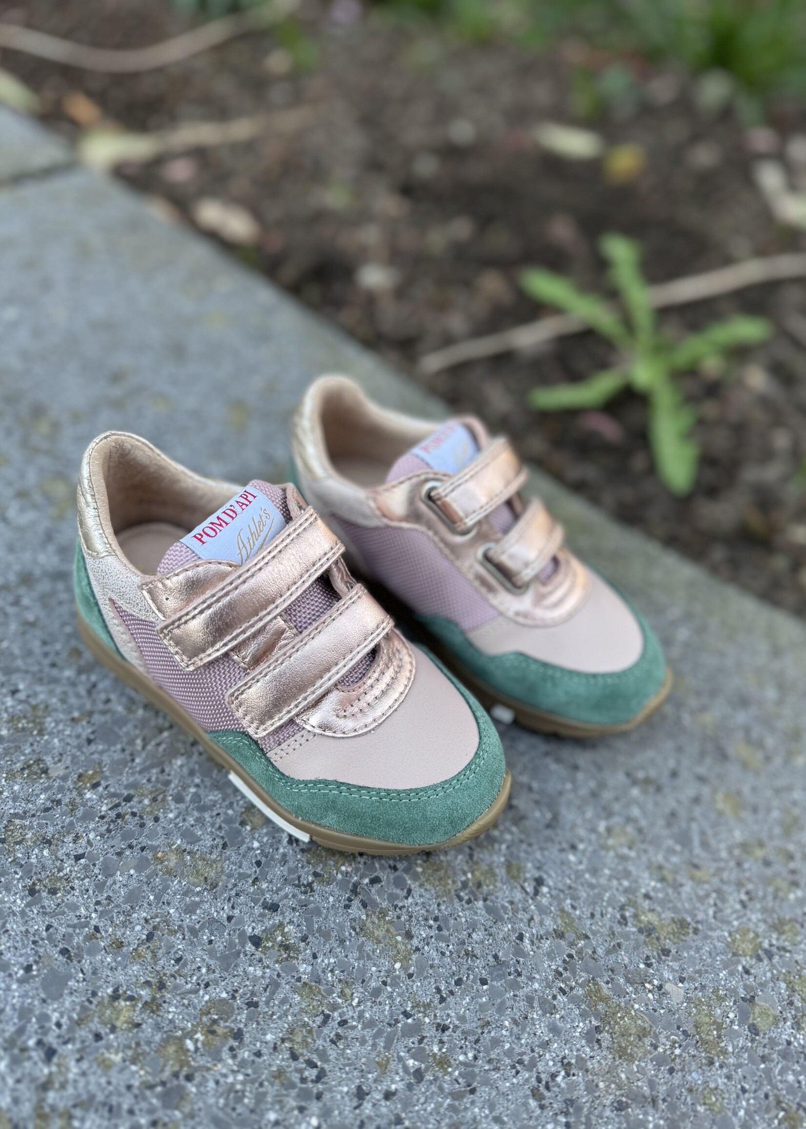 Pom d'api Pouss race nude vert anglais