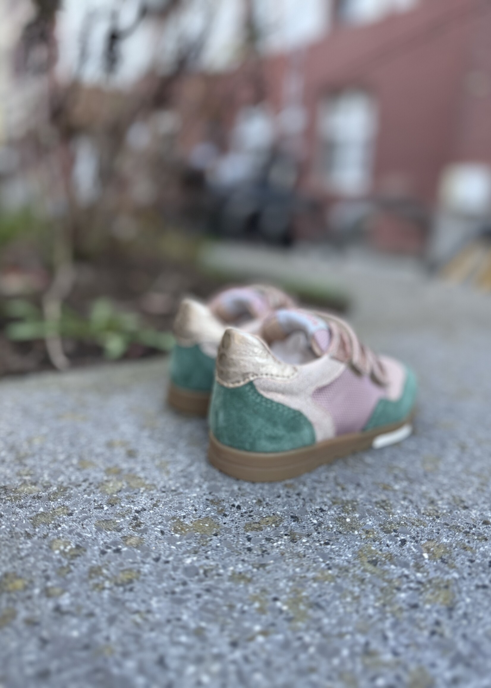 Pom d'api Pouss race nude vert anglais