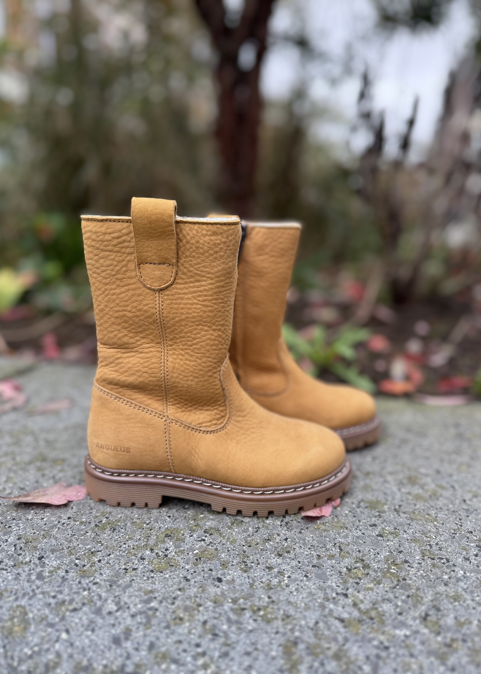Angulus 6150-101 Boot with zipper and wool camel