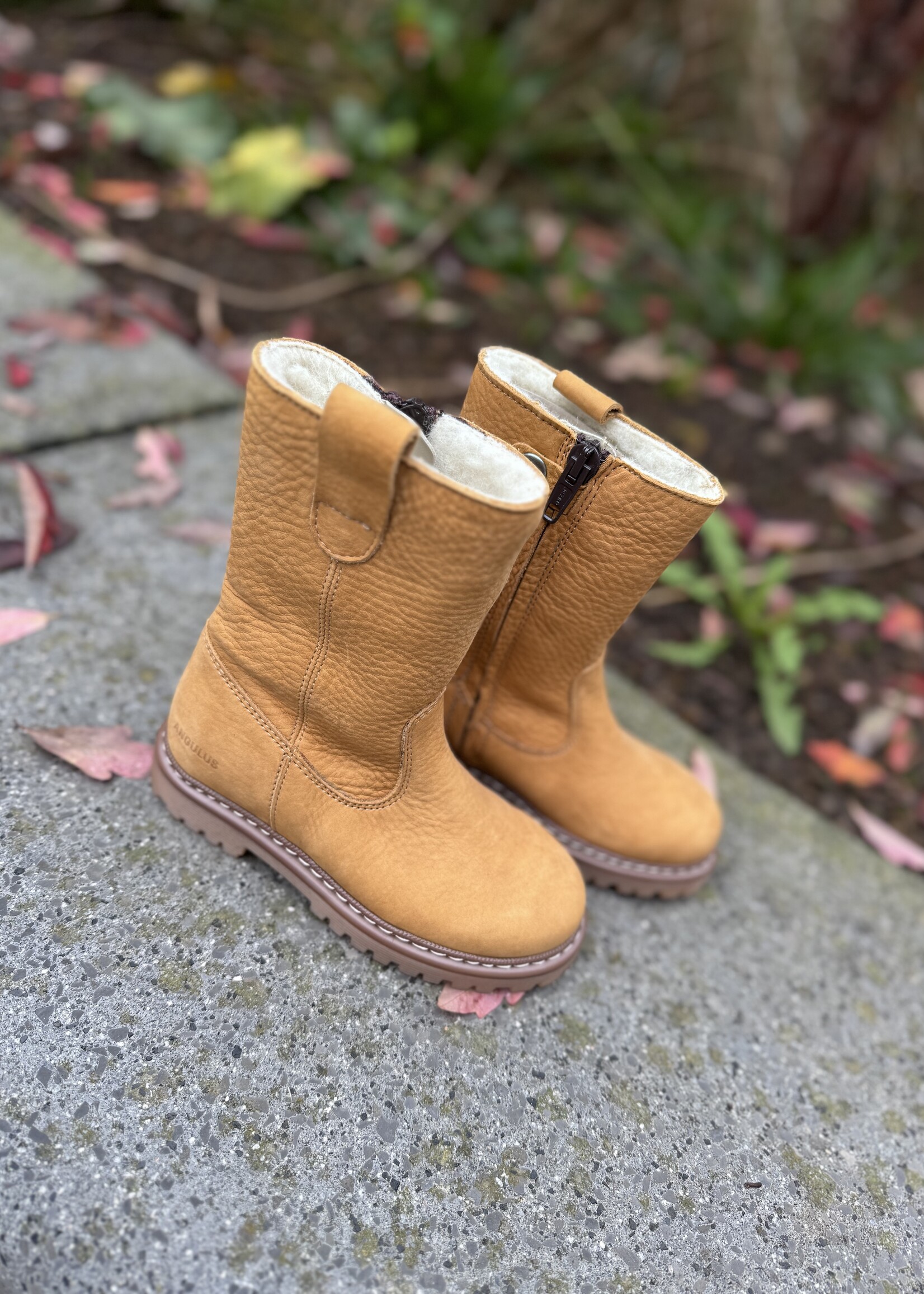 Angulus 6150-101 Boot with zipper and wool camel