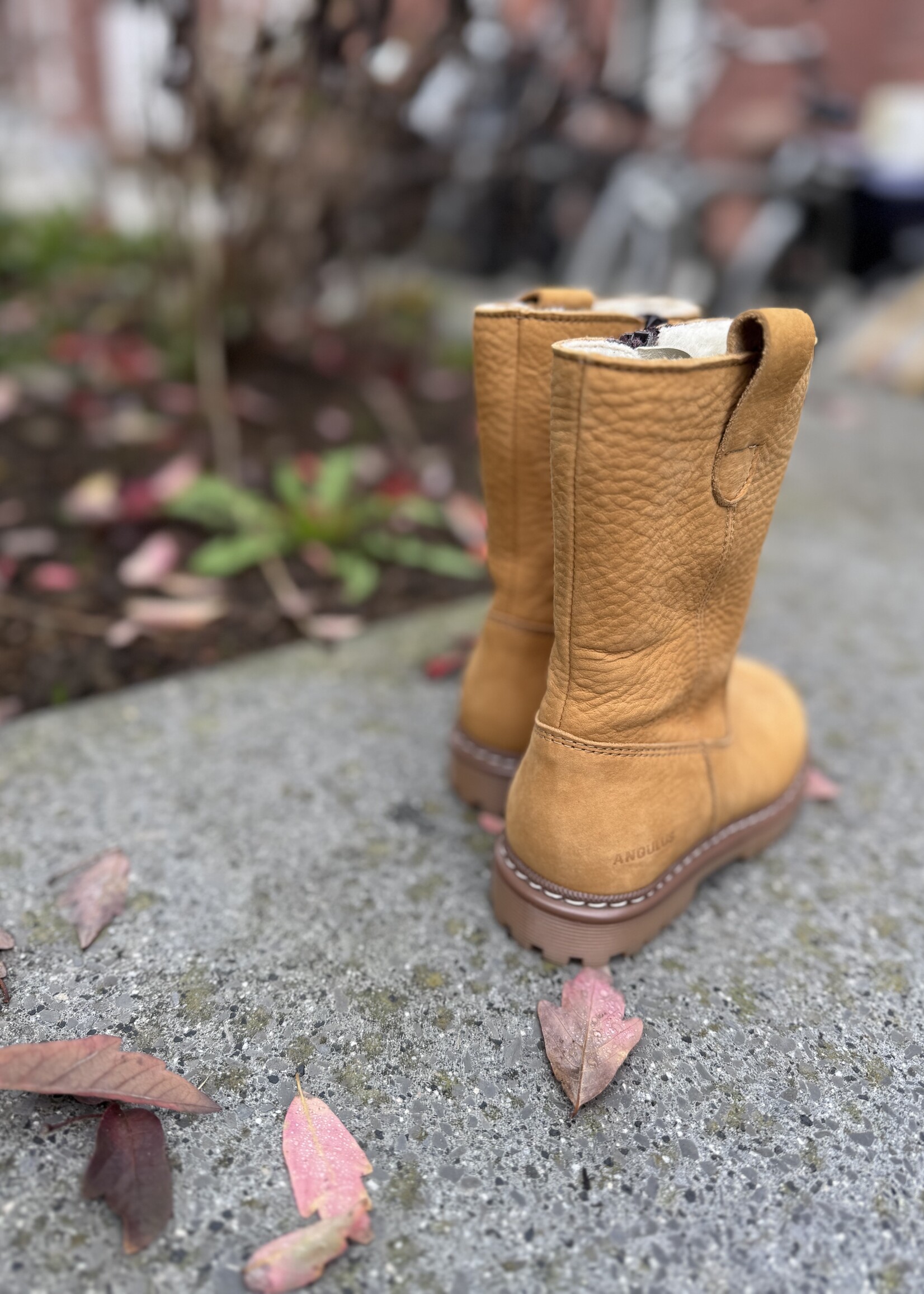 Angulus 6150-101 Boot with zipper and wool camel