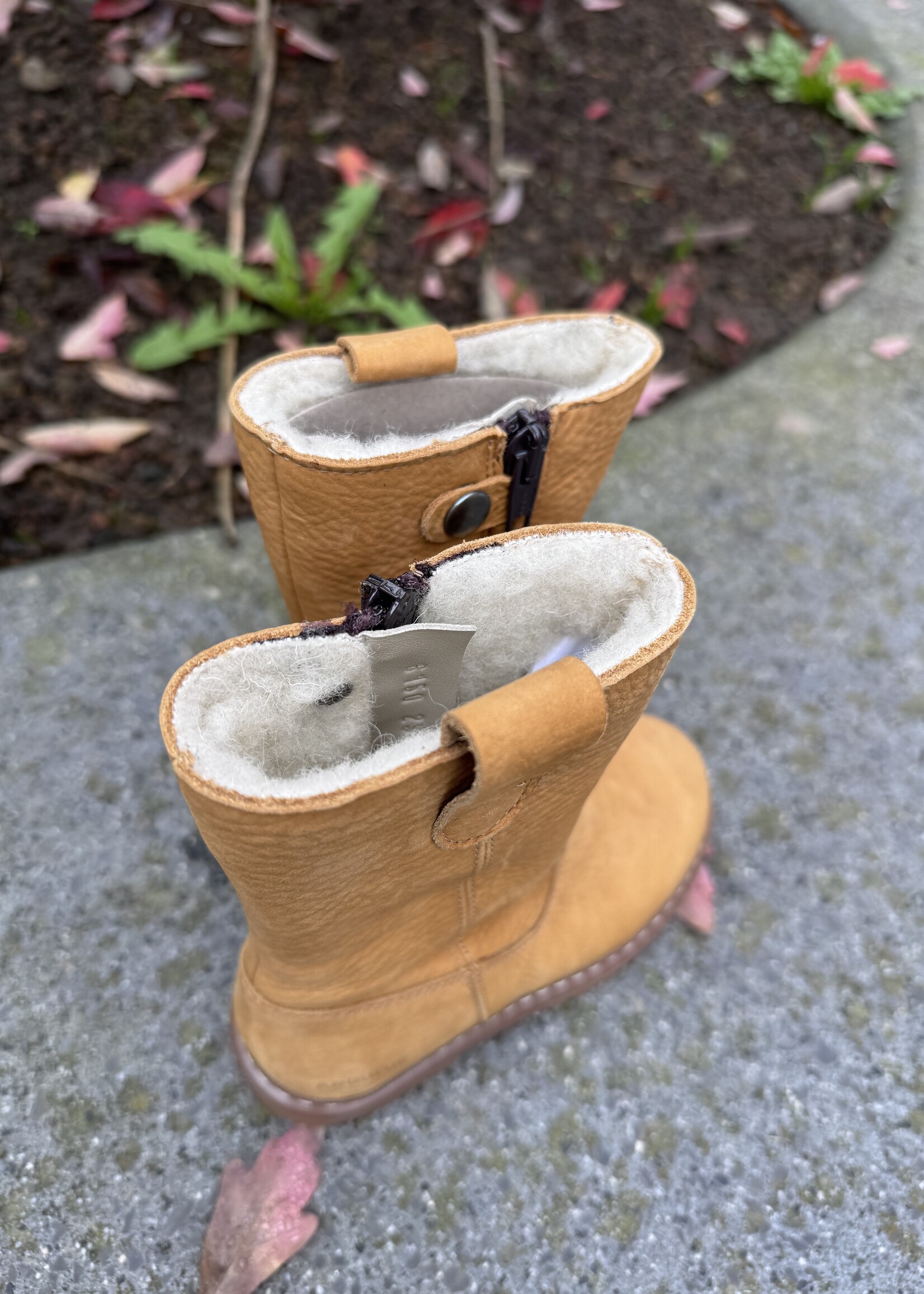 Angulus 6150-101 Boot with zipper and wool camel
