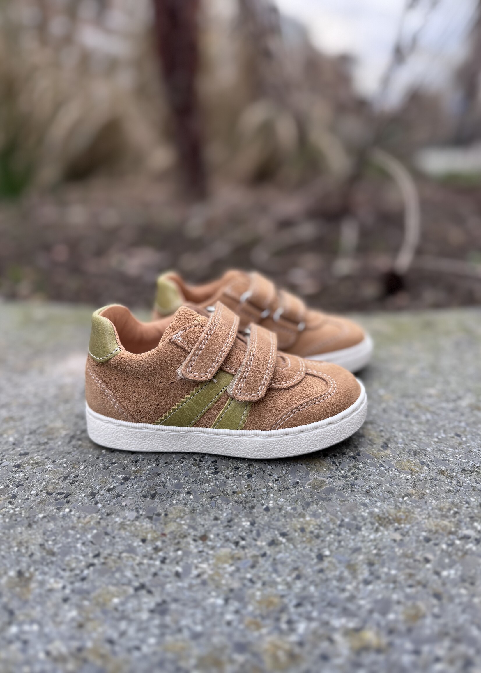 Romagnoli 6221 velour nocciola