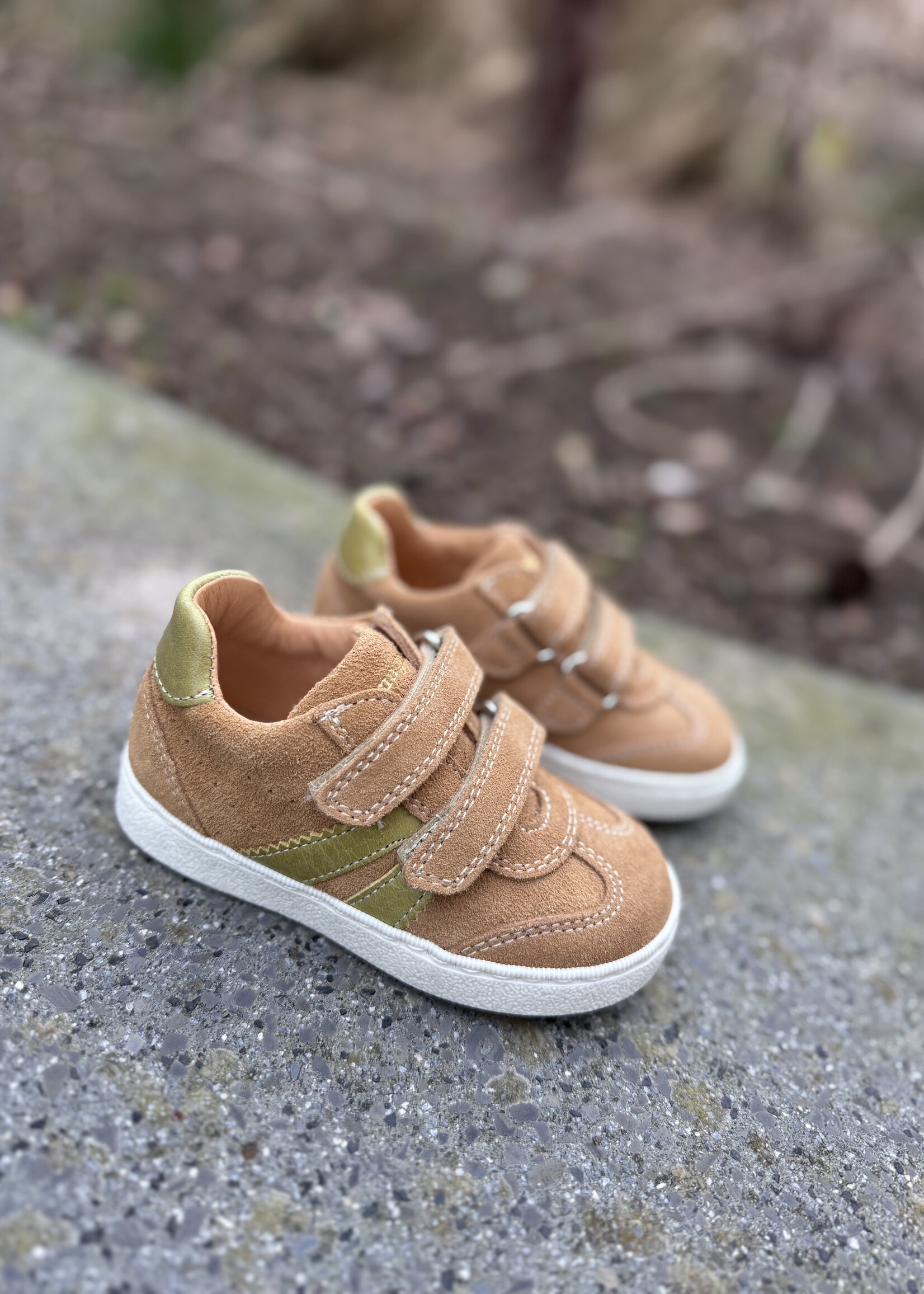 Romagnoli 6221 velour nocciola