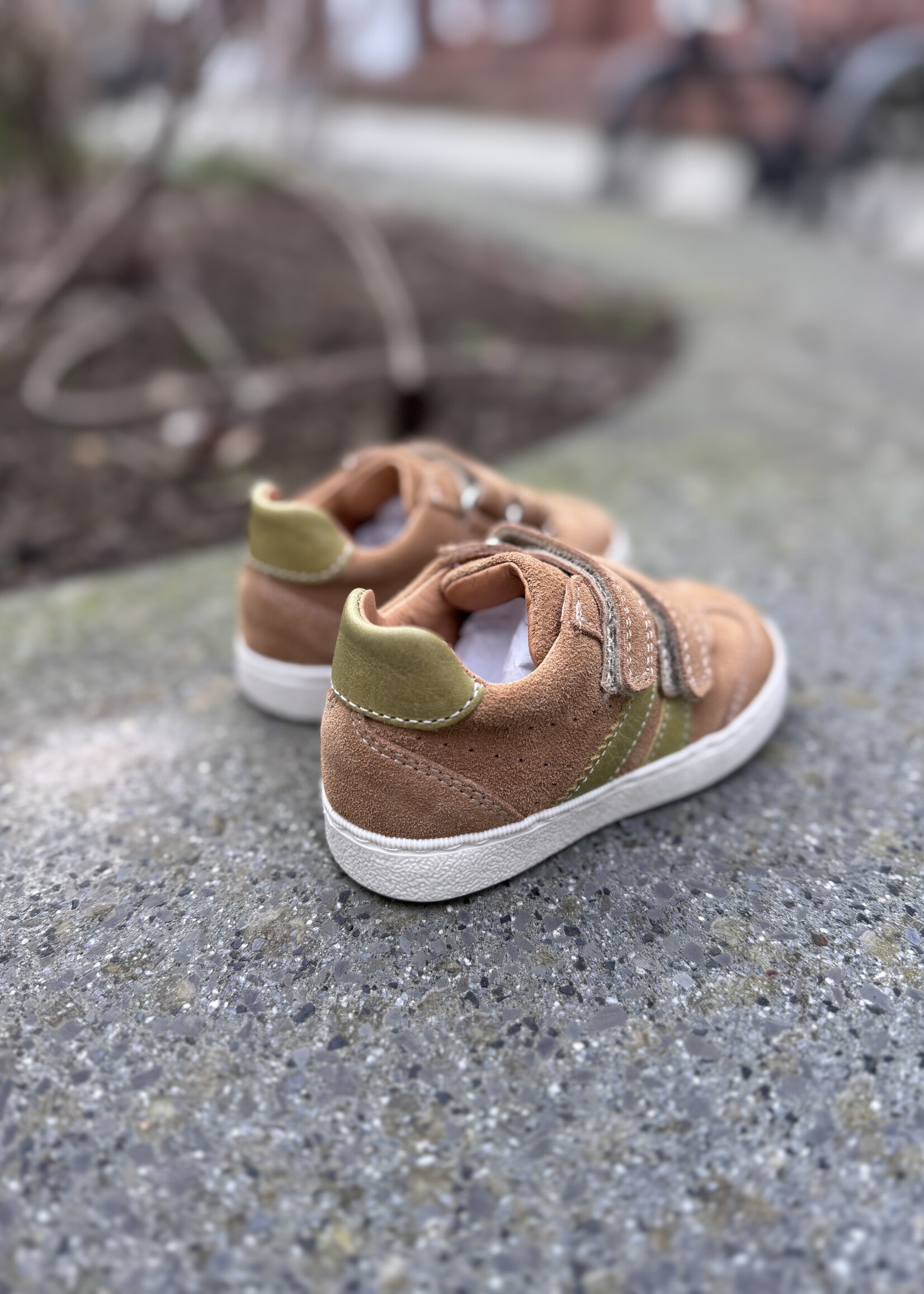 Romagnoli 6221 velour nocciola