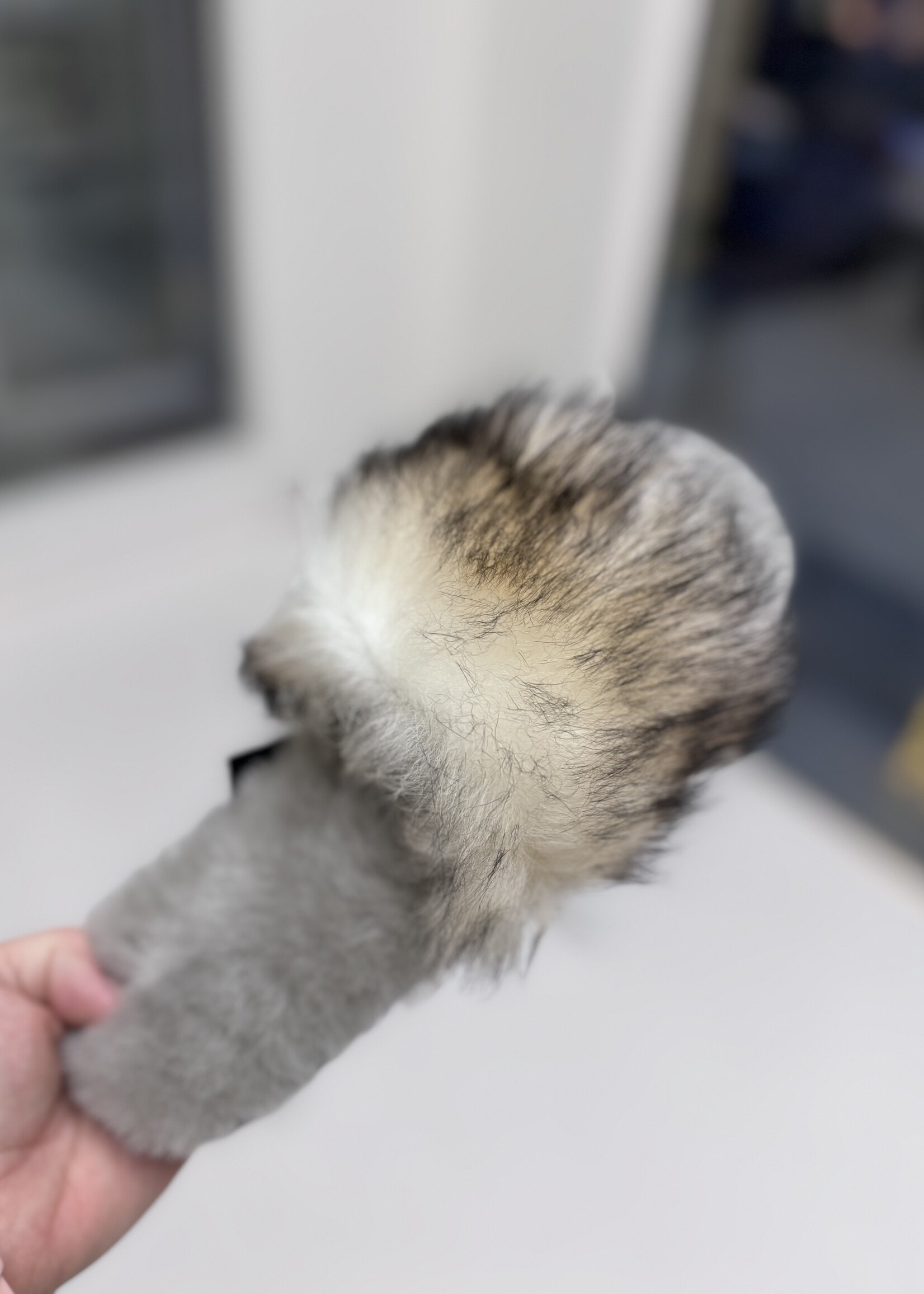 EMU  Myna lava charcoal