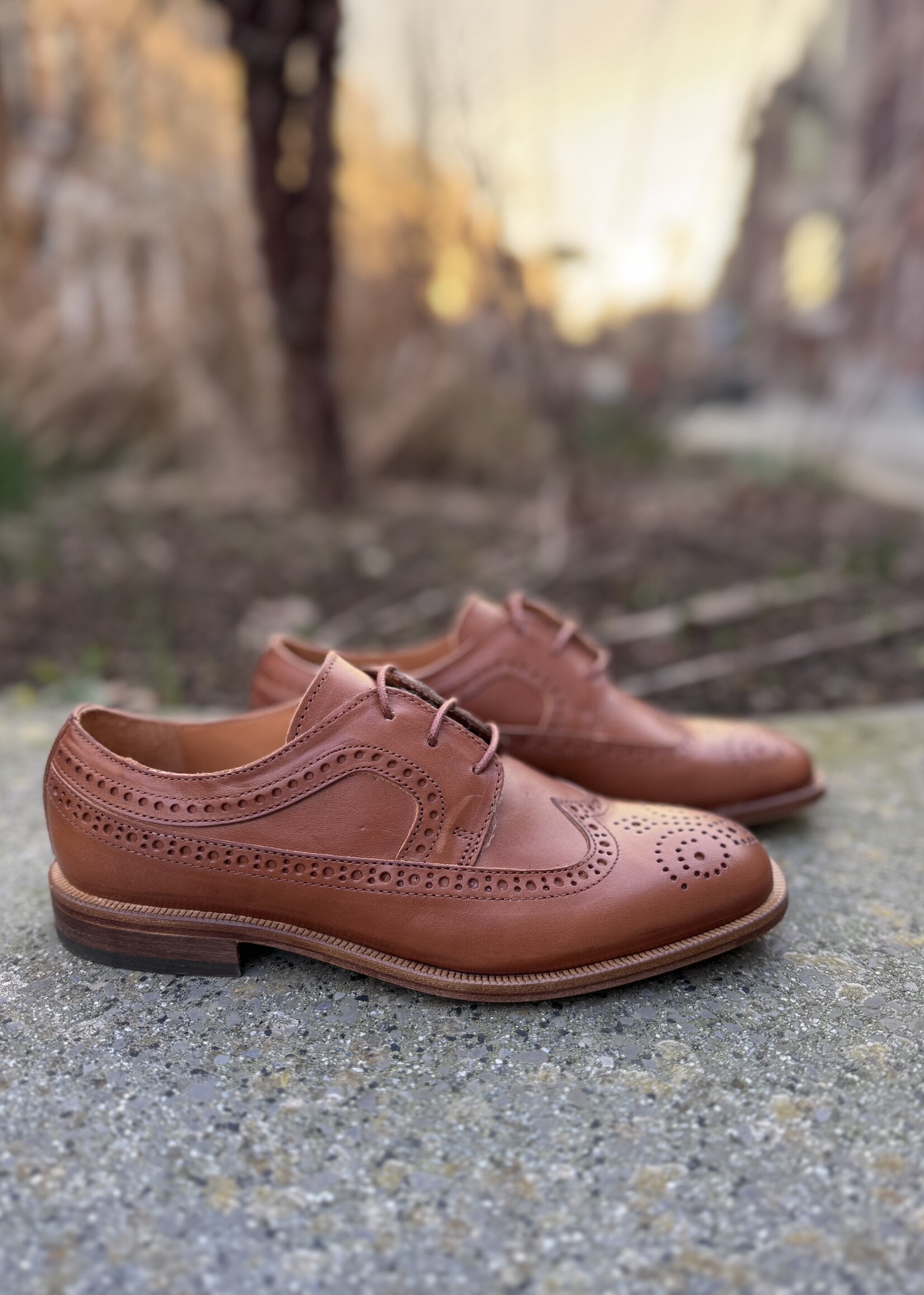 Gallucci J02116AM268502 veterschoen cognac