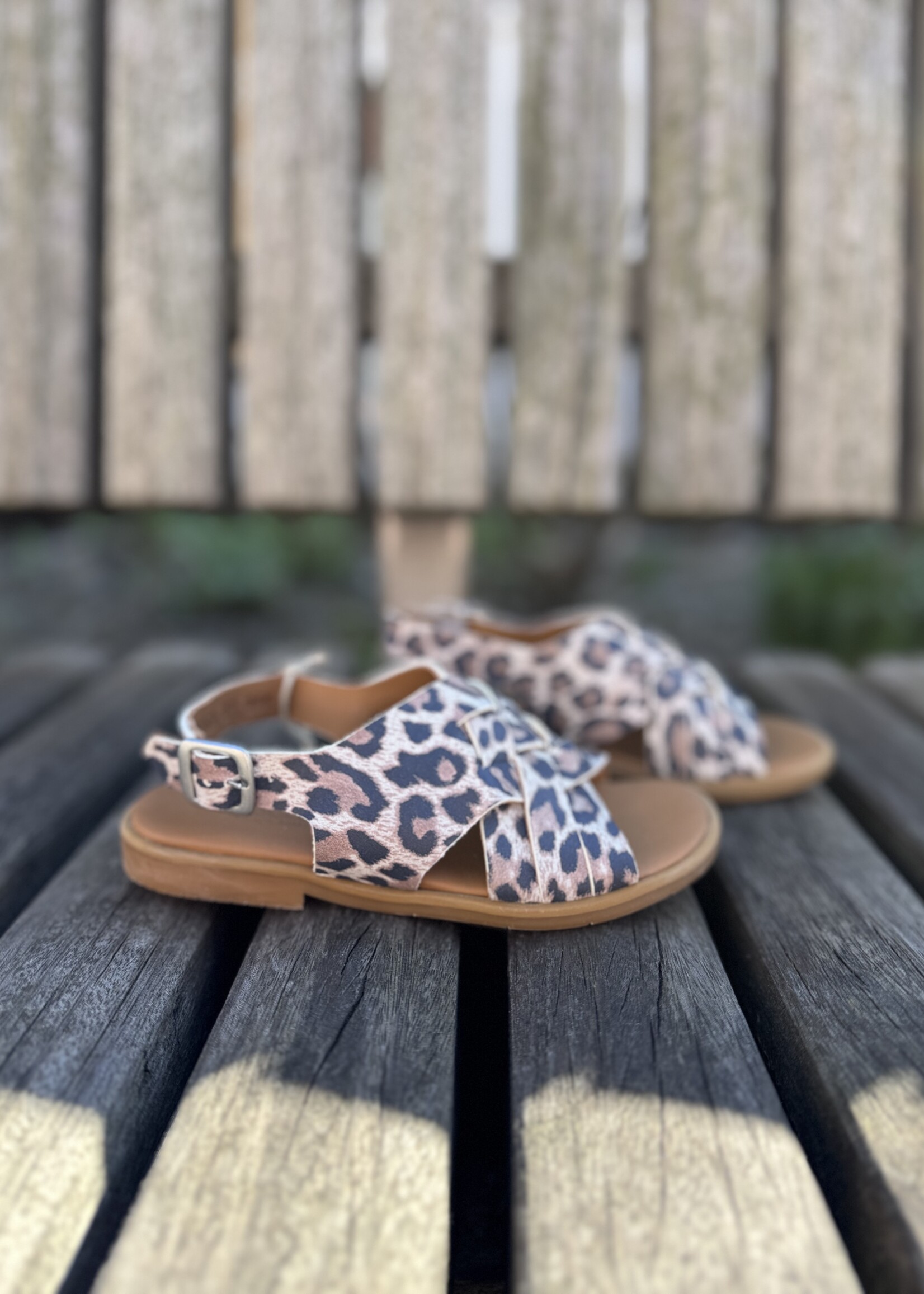 Angulus 0656-101 open toe braid sandal leopard suede