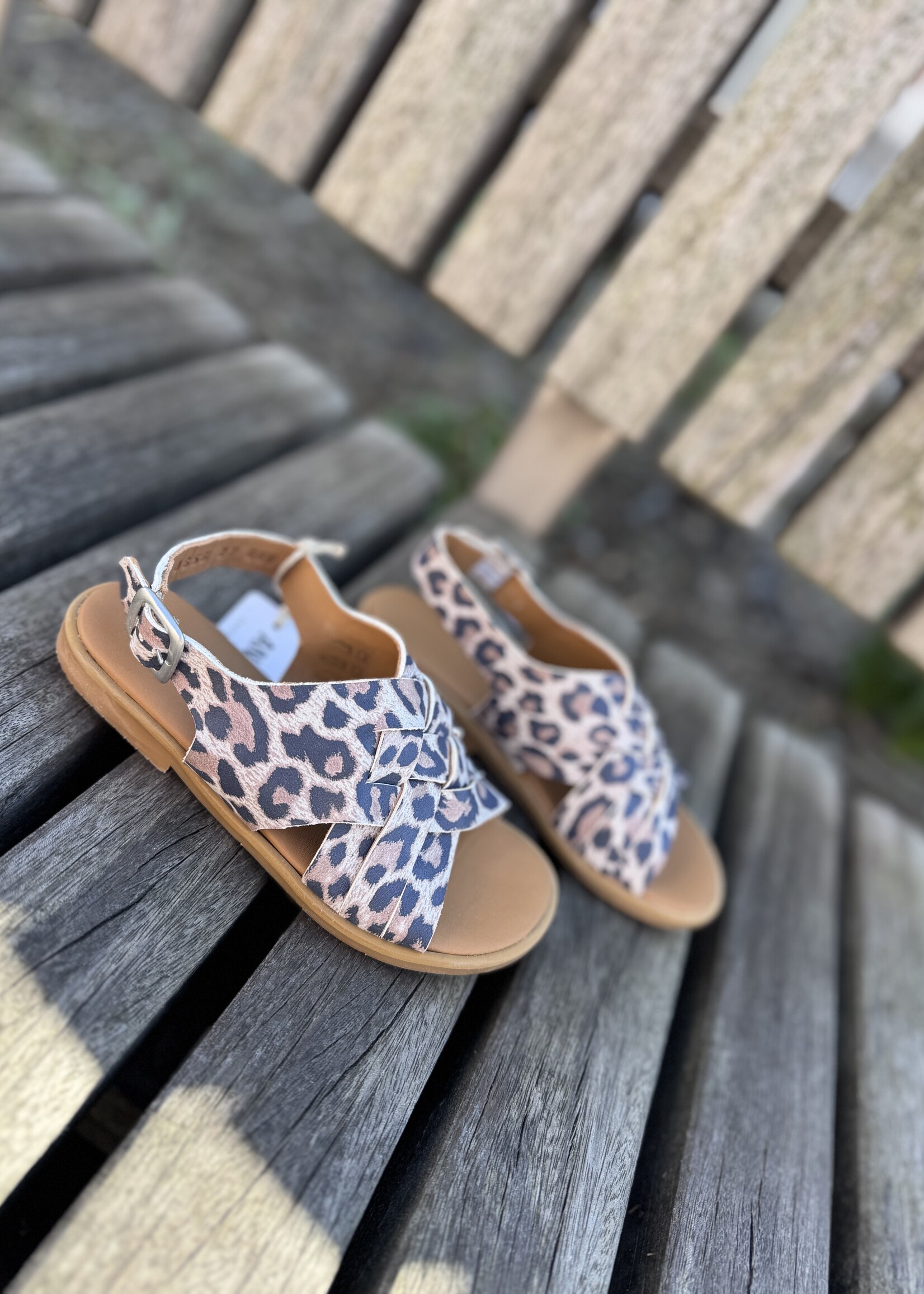 Angulus 0656-101 open toe braid sandal leopard suede