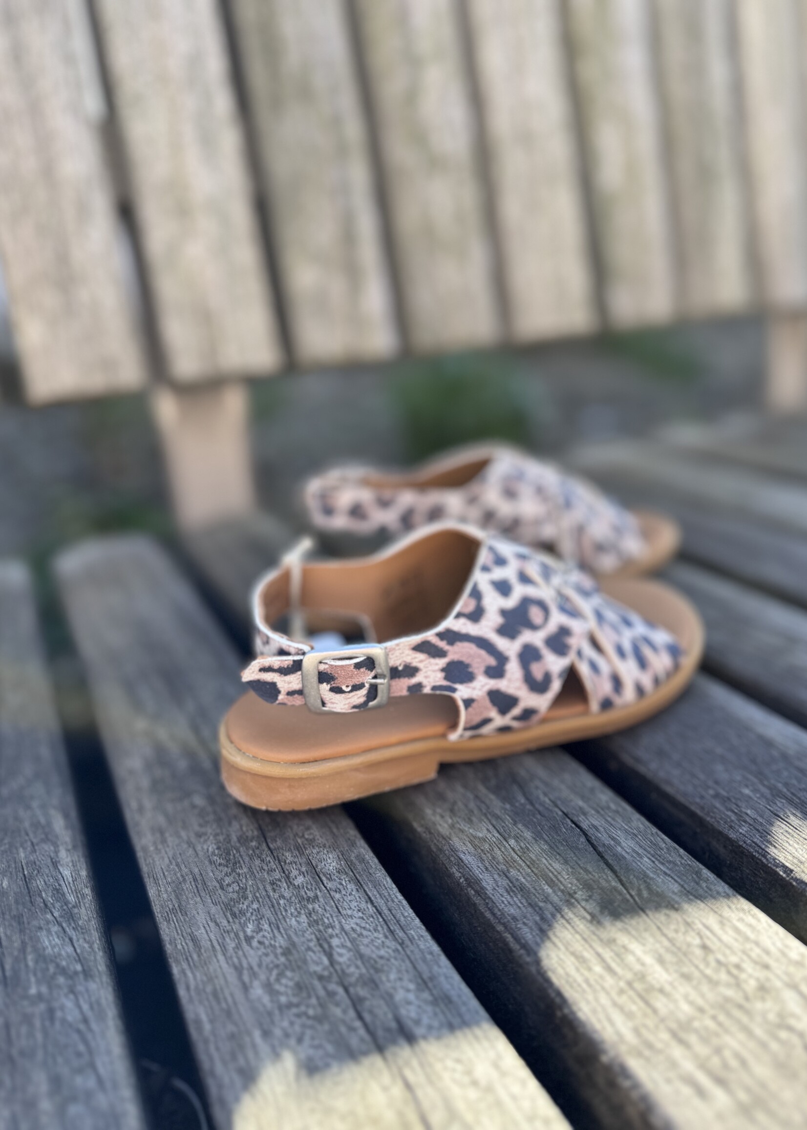 Angulus 0656-101 open toe braid sandal leopard suede