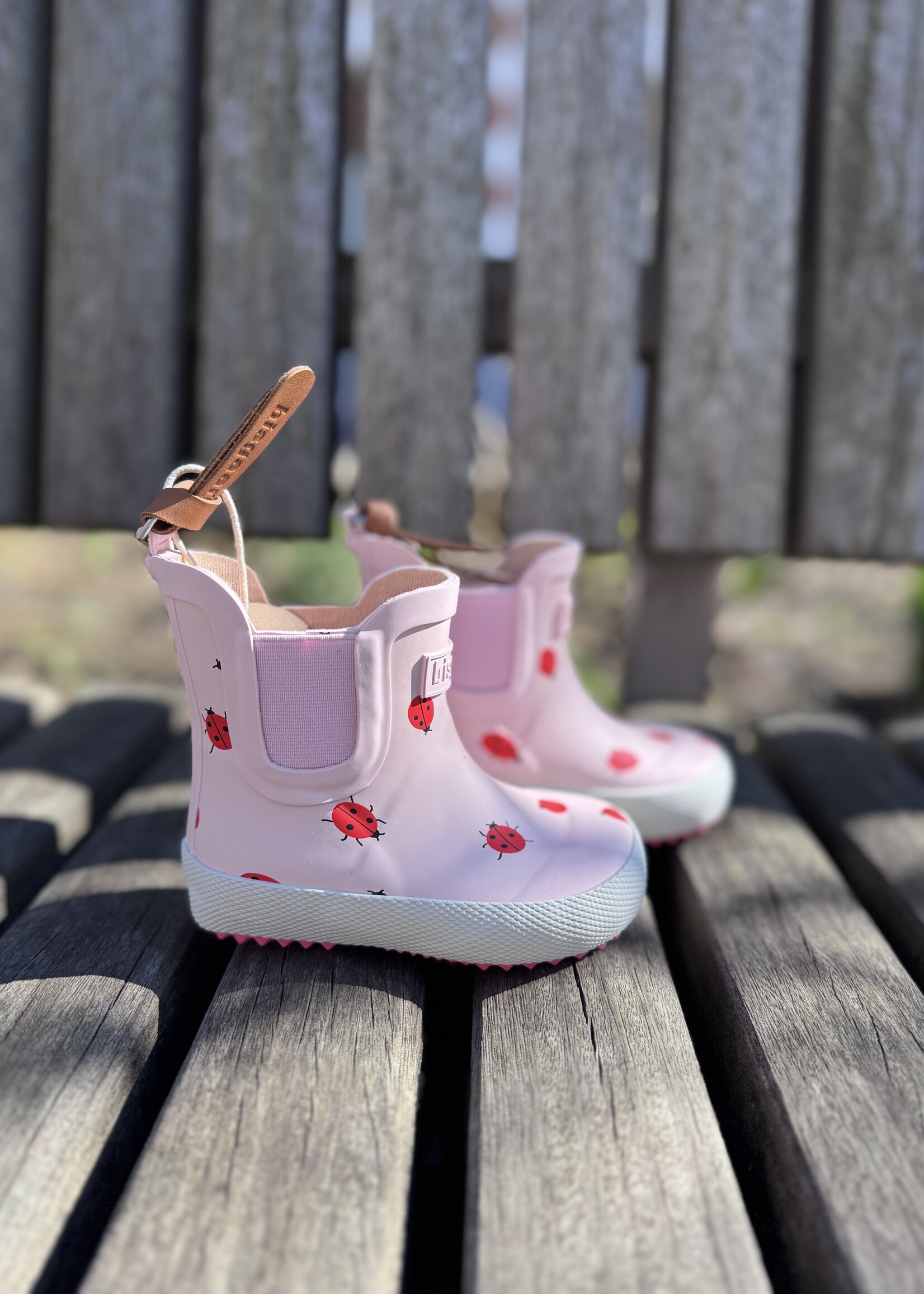 Bisgaard baby rubber cute lady bug