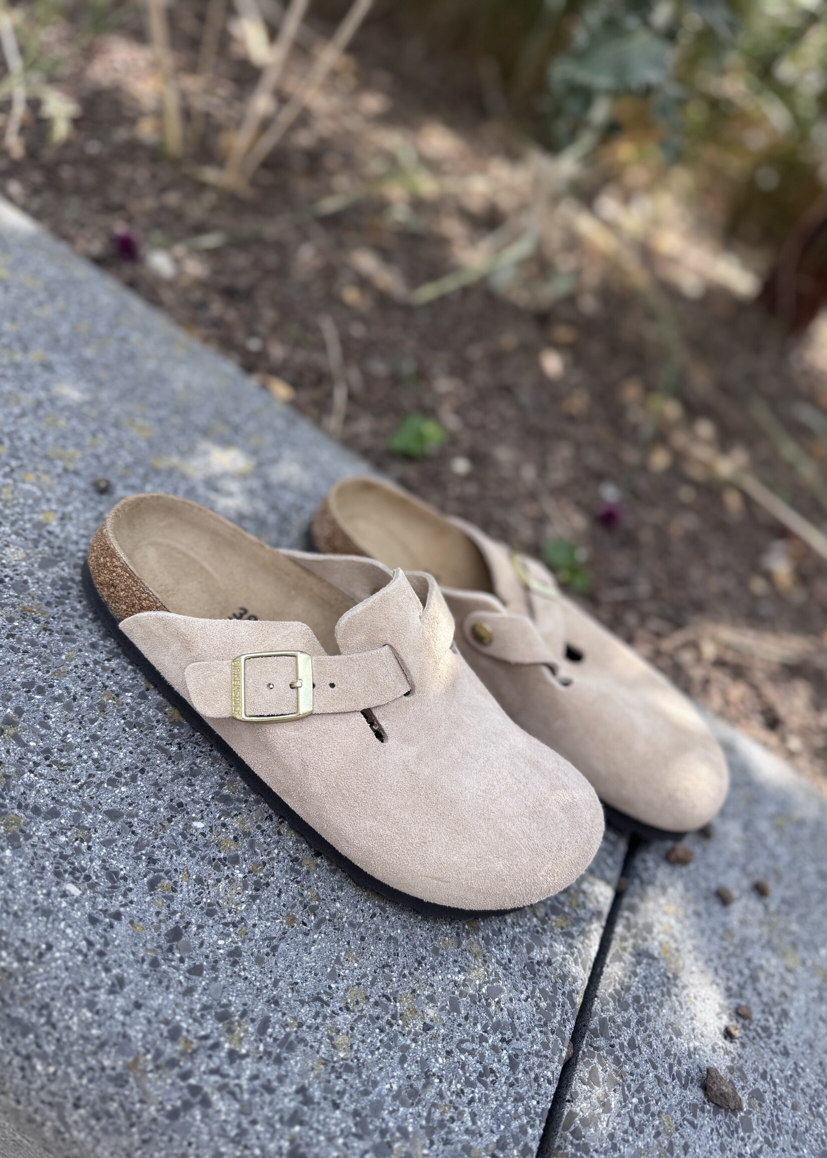 Birkenstock boston leve Sandcastle