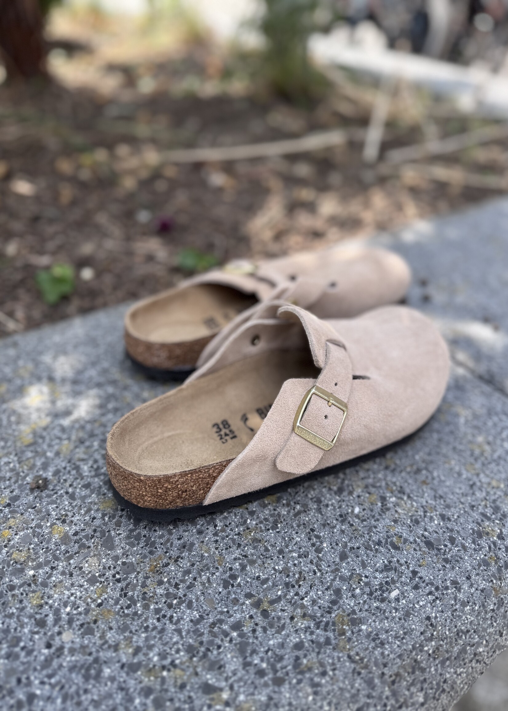 Birkenstock boston leve Sandcastle
