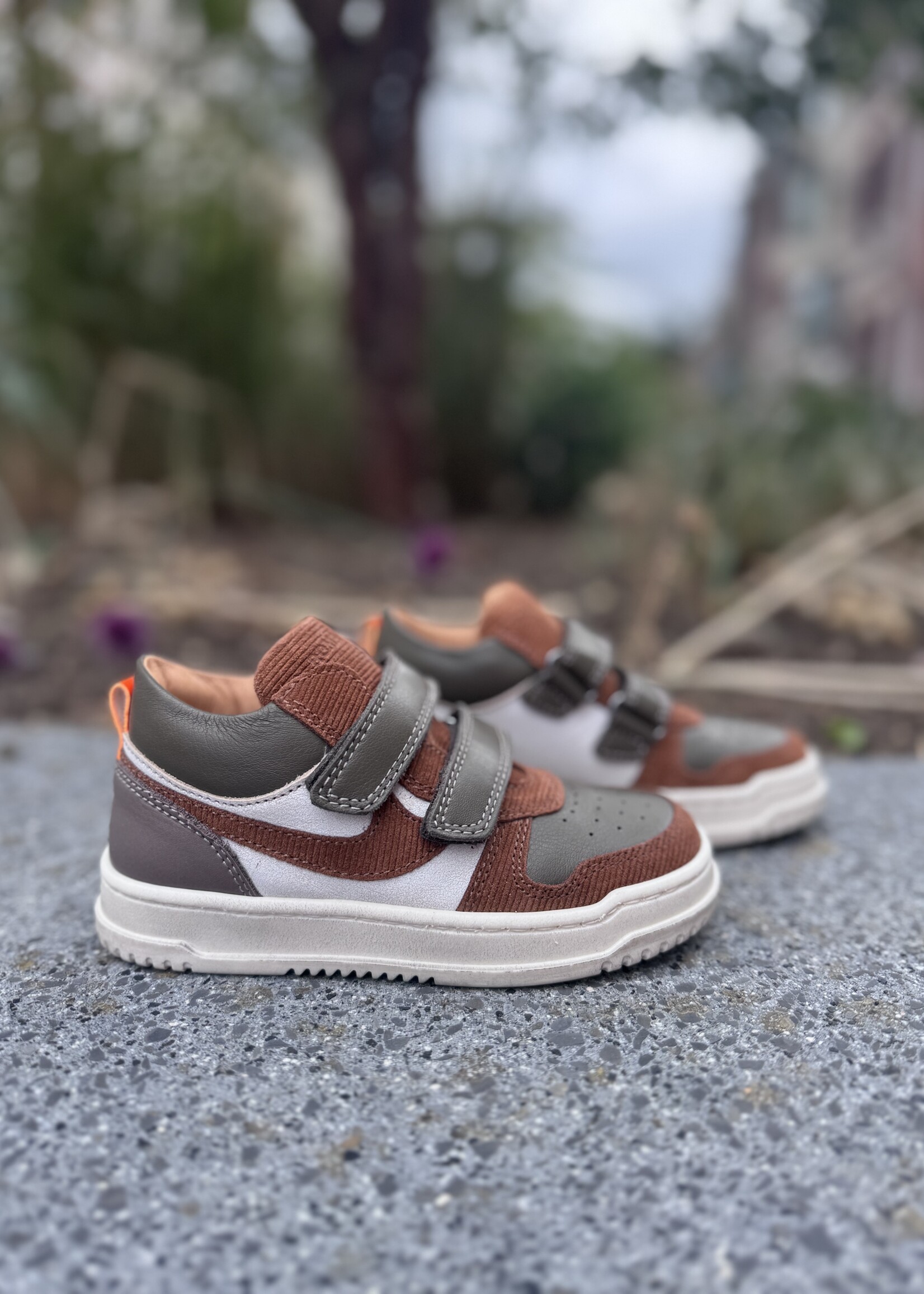 Romagnoli 7380 hoge sneaker velcro sparta bia/cuoio