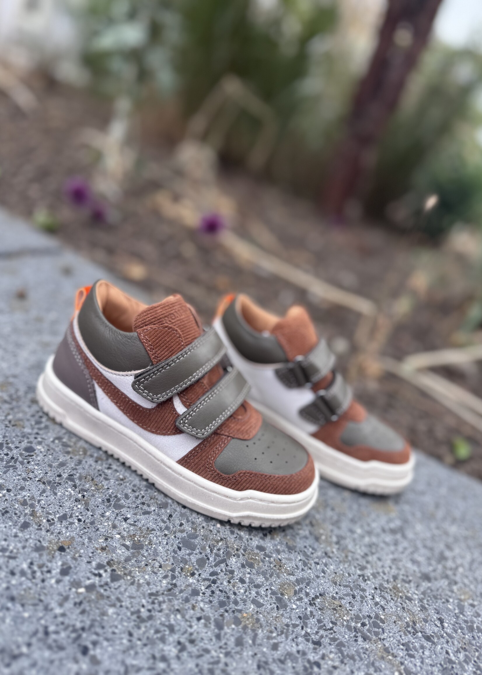 Romagnoli 7380 hoge sneaker velcro sparta bia/cuoio