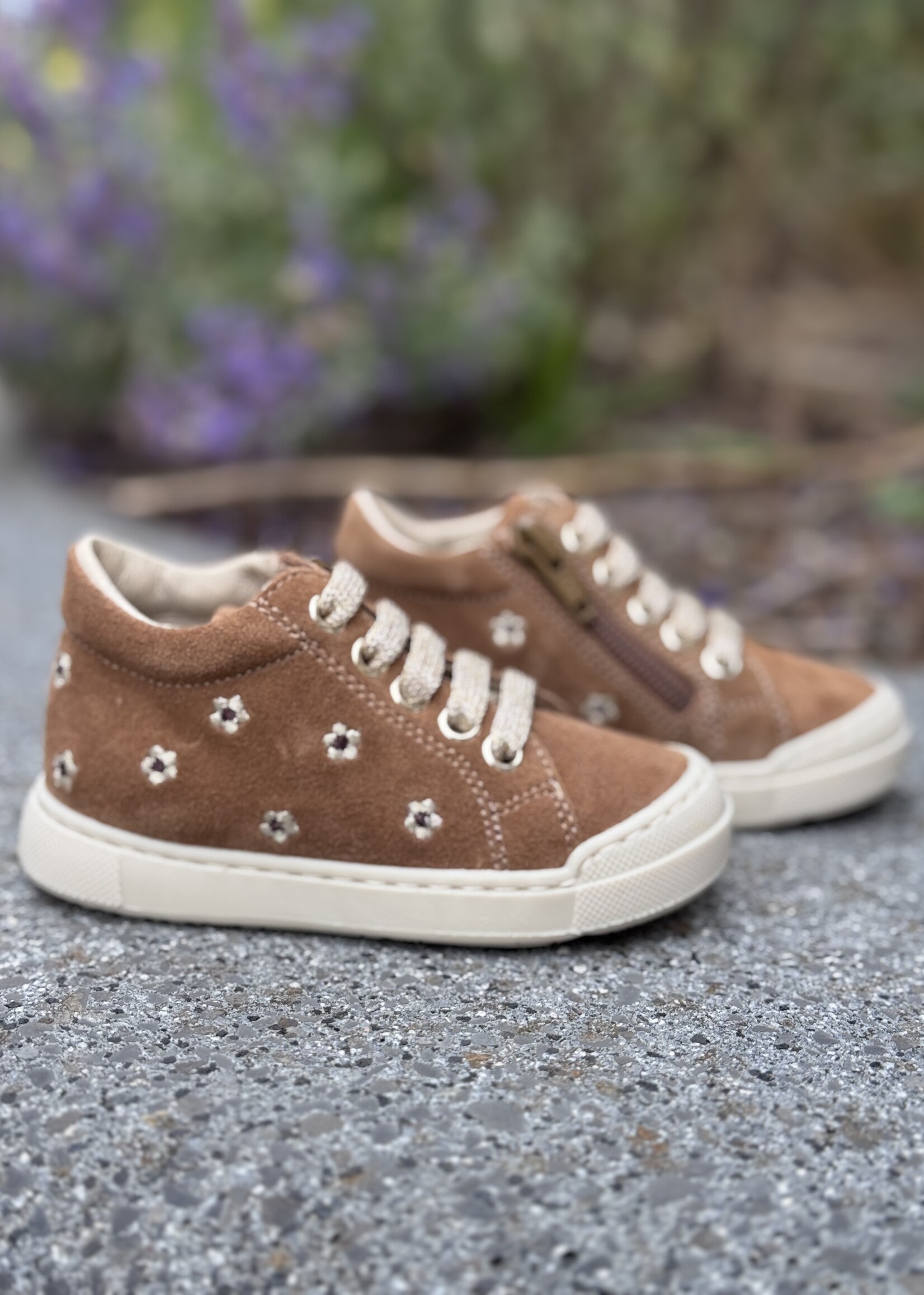 Falcotto snopes daisies suede brown
