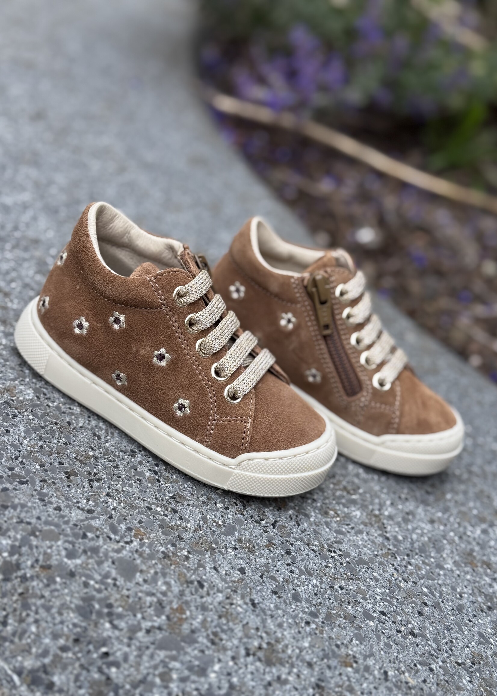 Falcotto snopes daisies suede brown