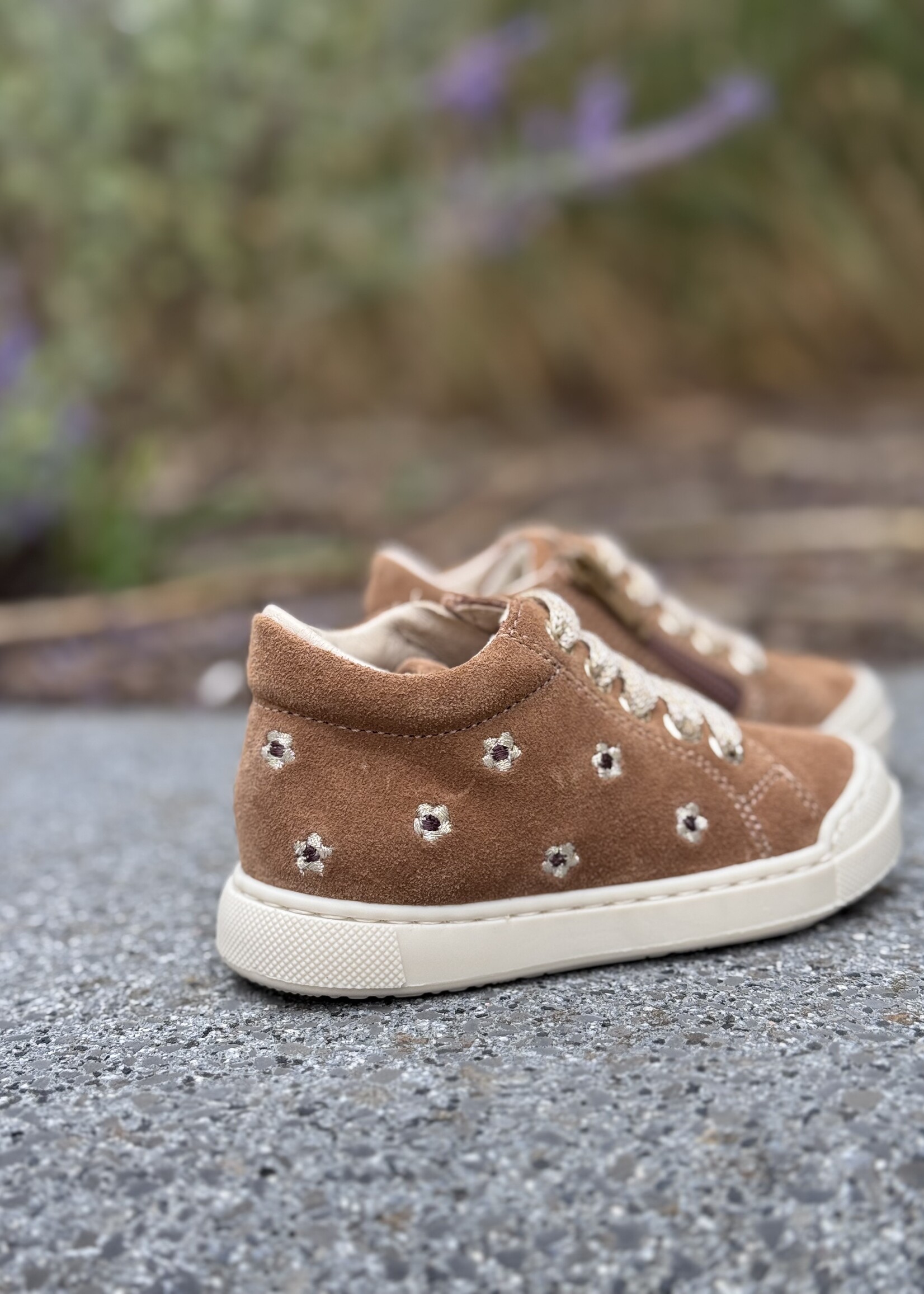 Falcotto snopes daisies suede brown