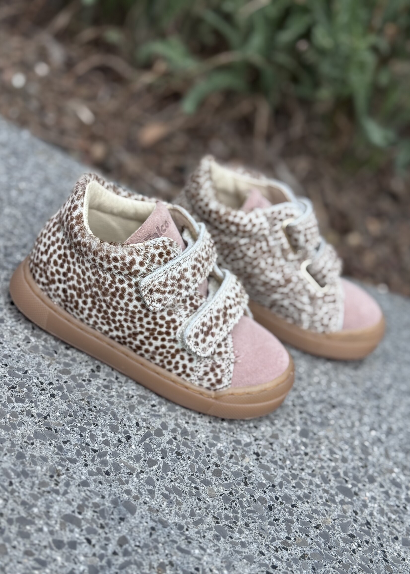 Falcotto snopes horse dotted milk-brown-rose