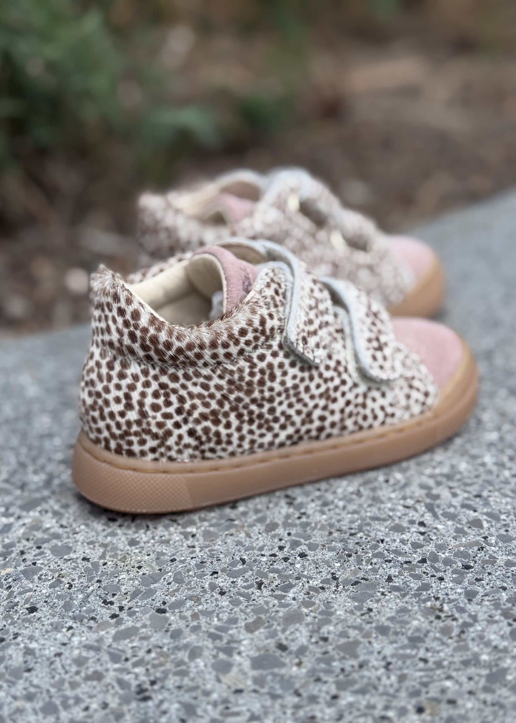 Falcotto snopes horse dotted milk-brown-rose