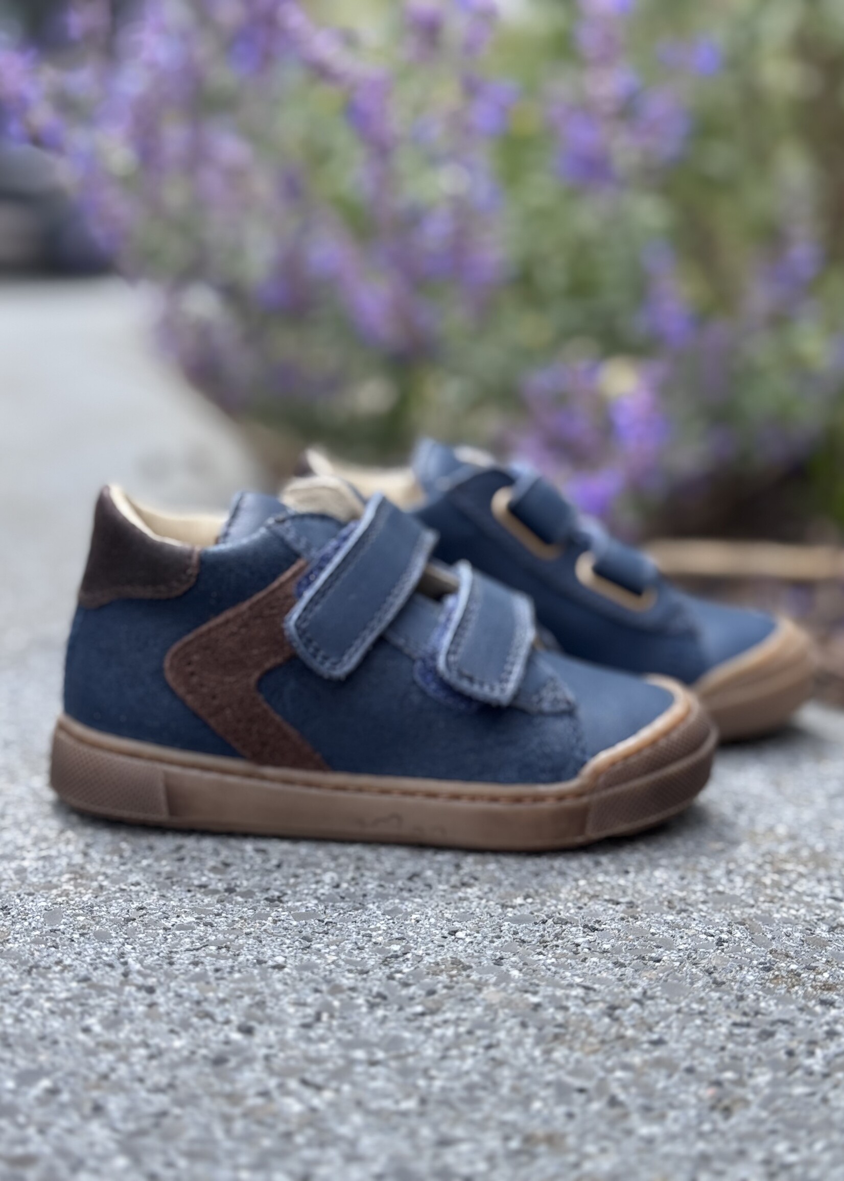 Naturino  heist nappa suede wax navy-dark brown