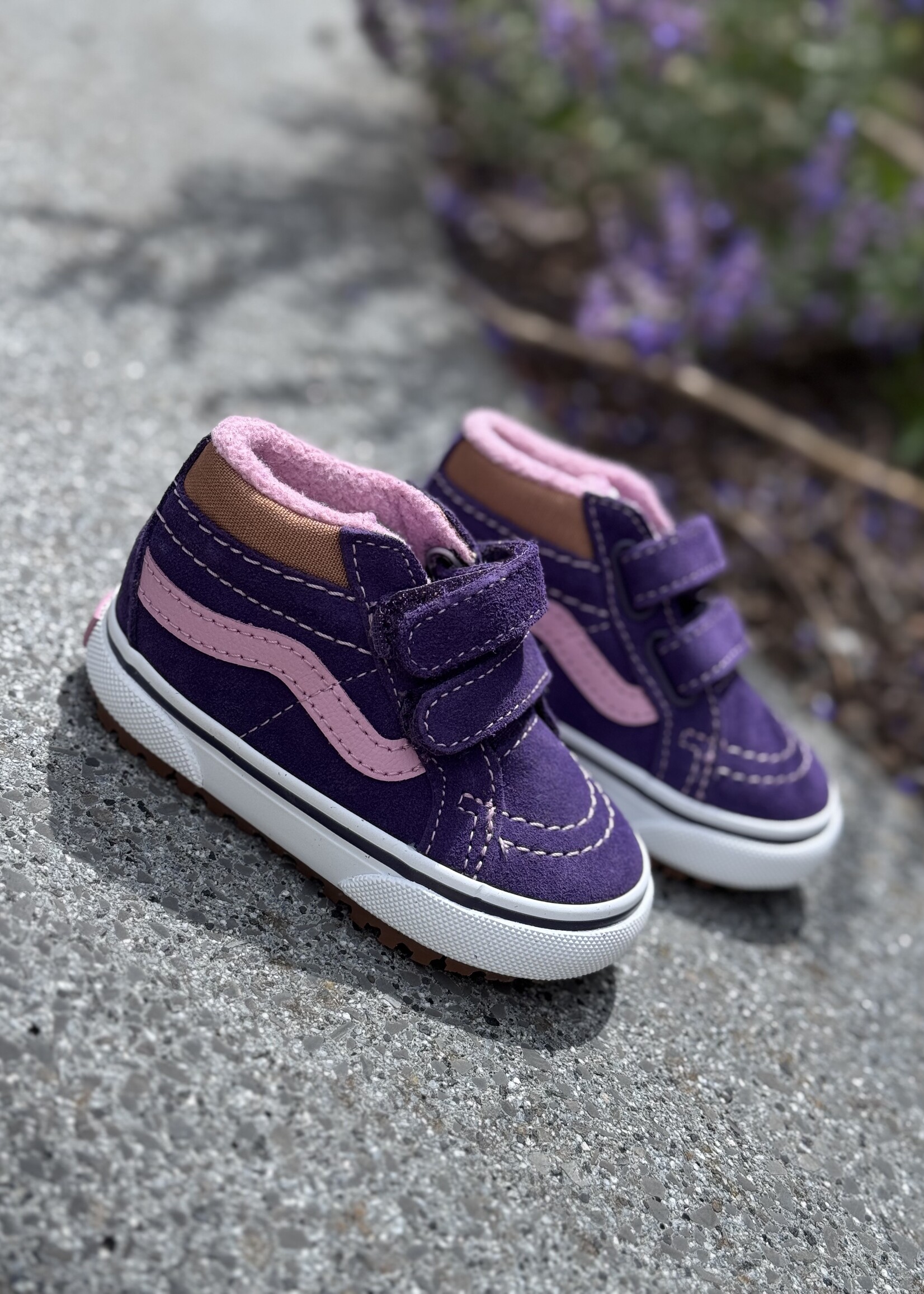 Vans MTE SK8-mid reissue Pop gothic grape