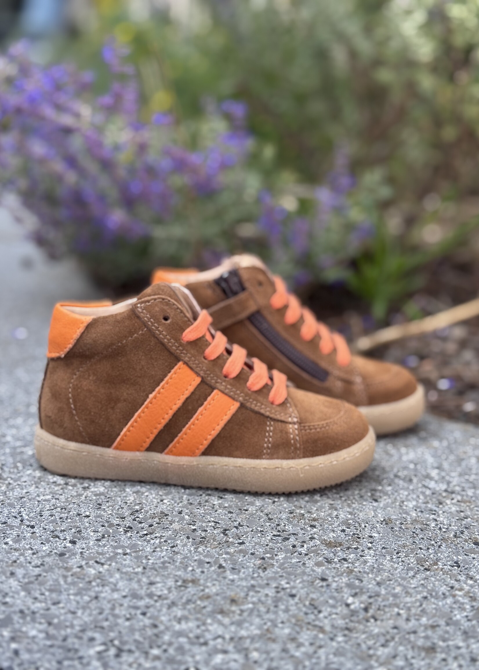 Lunella 25327 sneaker cognac