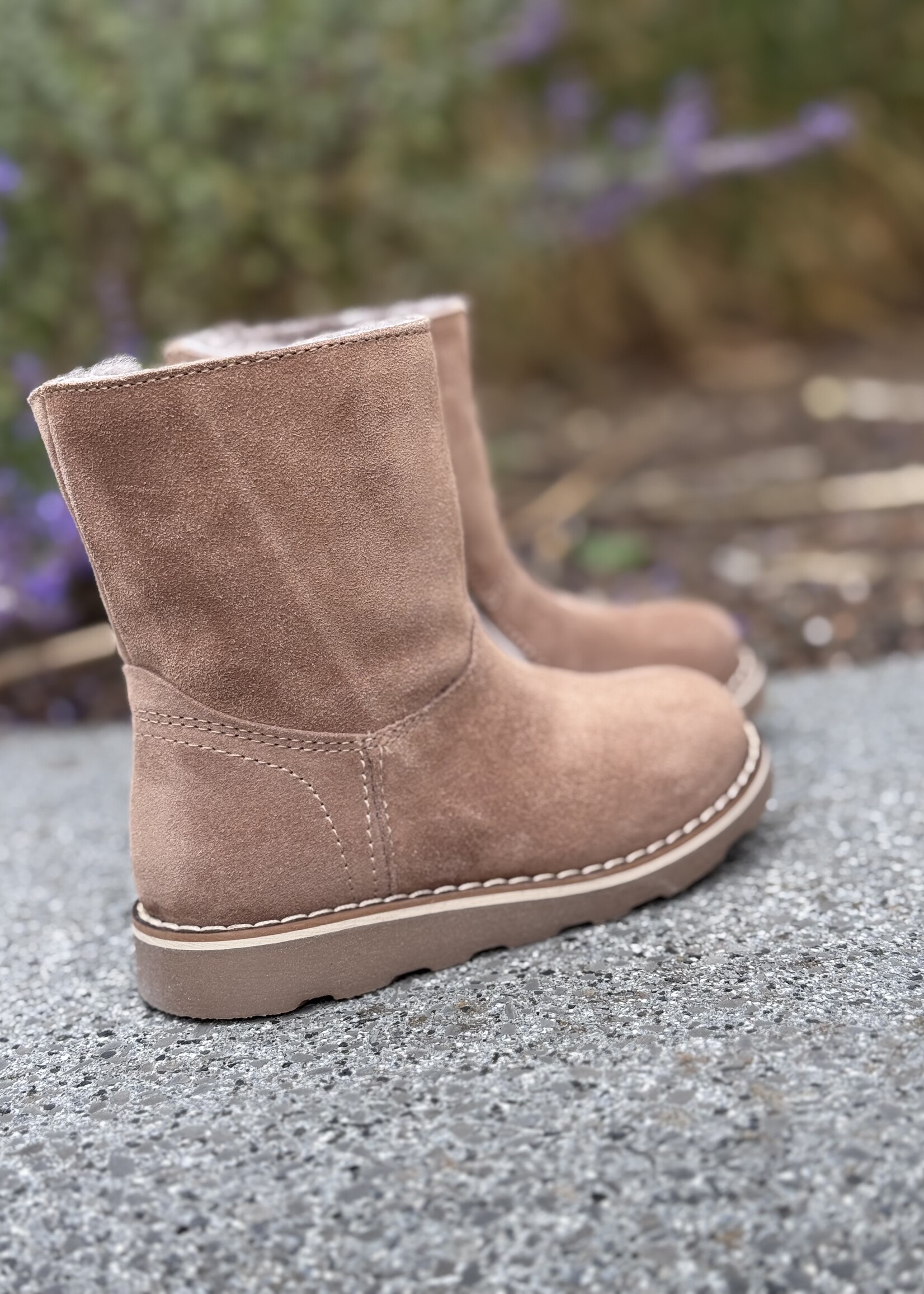 Dianetti enkellaarsje ambra wol