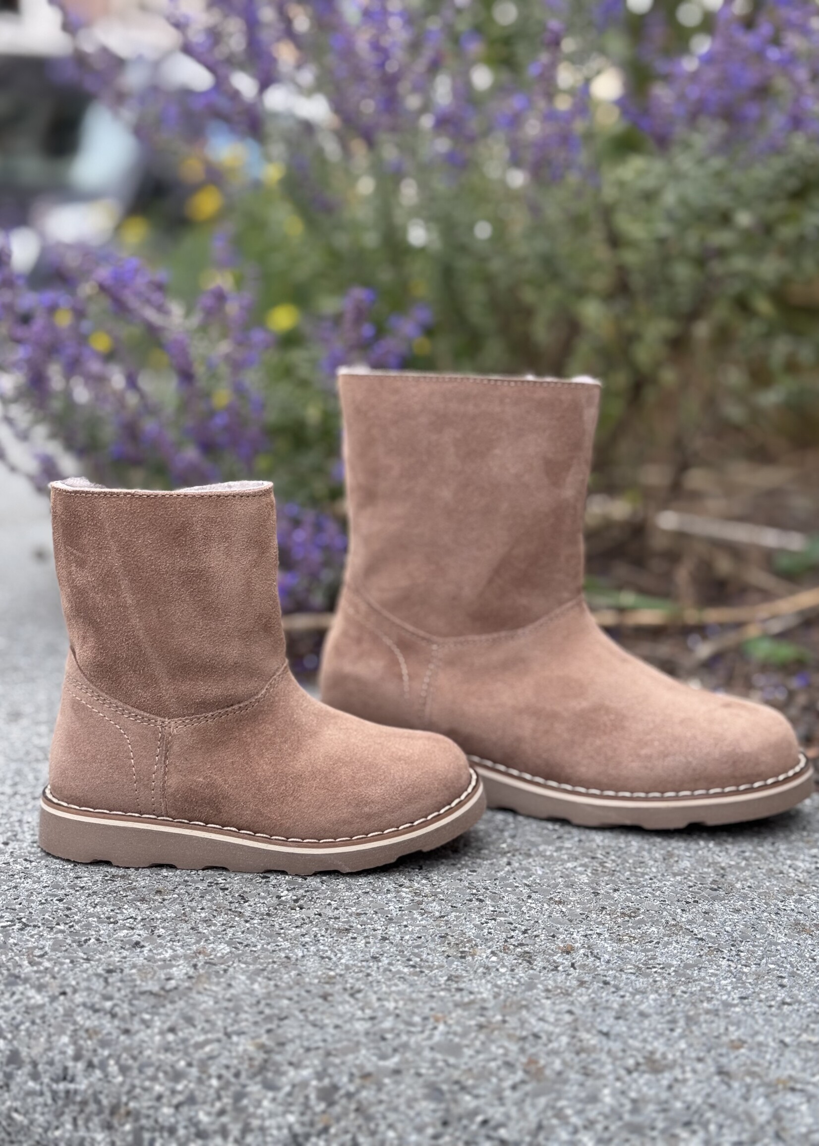 Dianetti enkellaarsje ambra wol