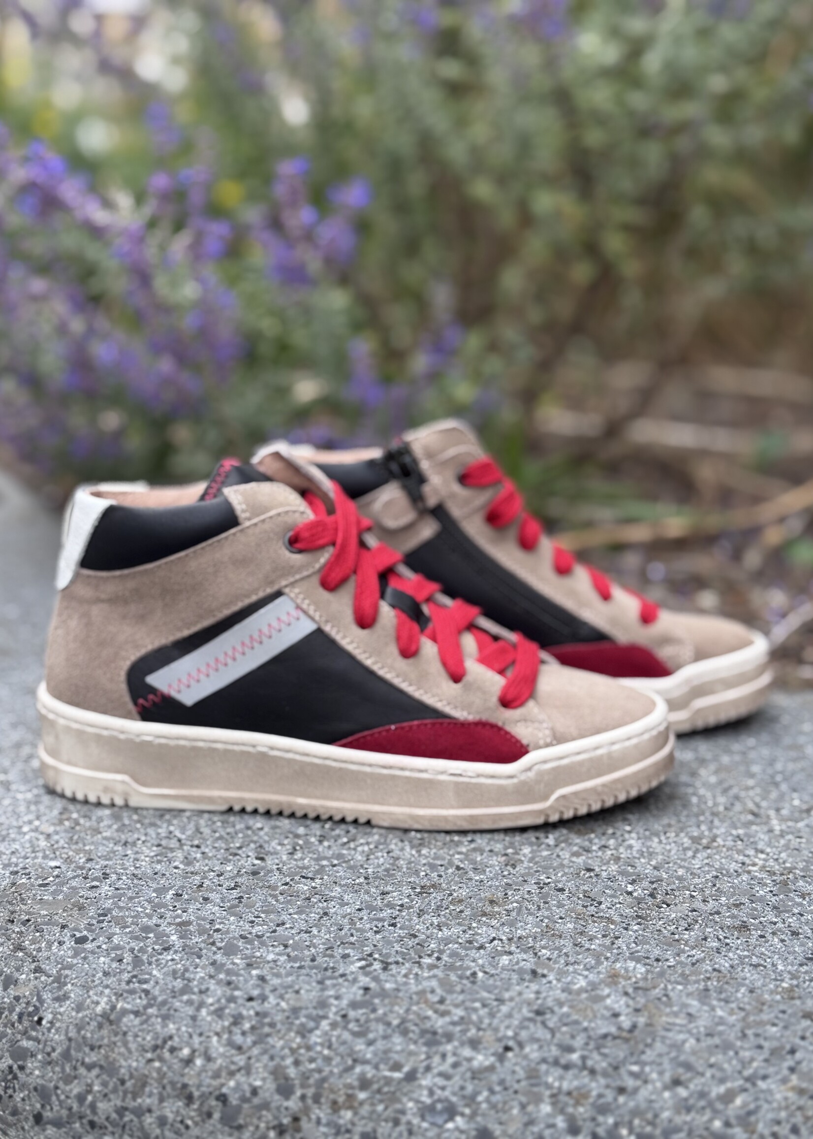 Dianetti hoge sneaker ardesia rosso