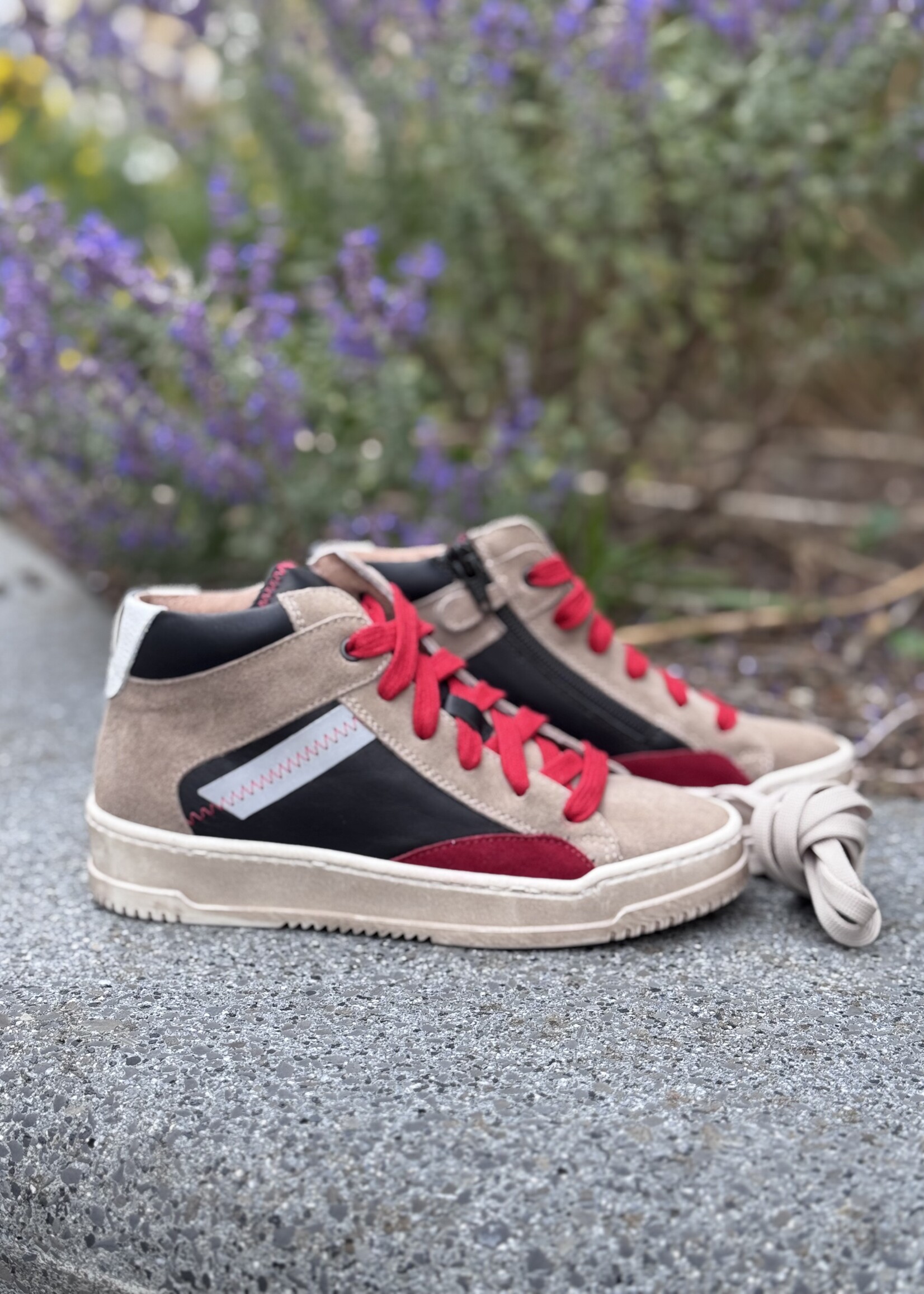 Dianetti hoge sneaker ardesia rosso