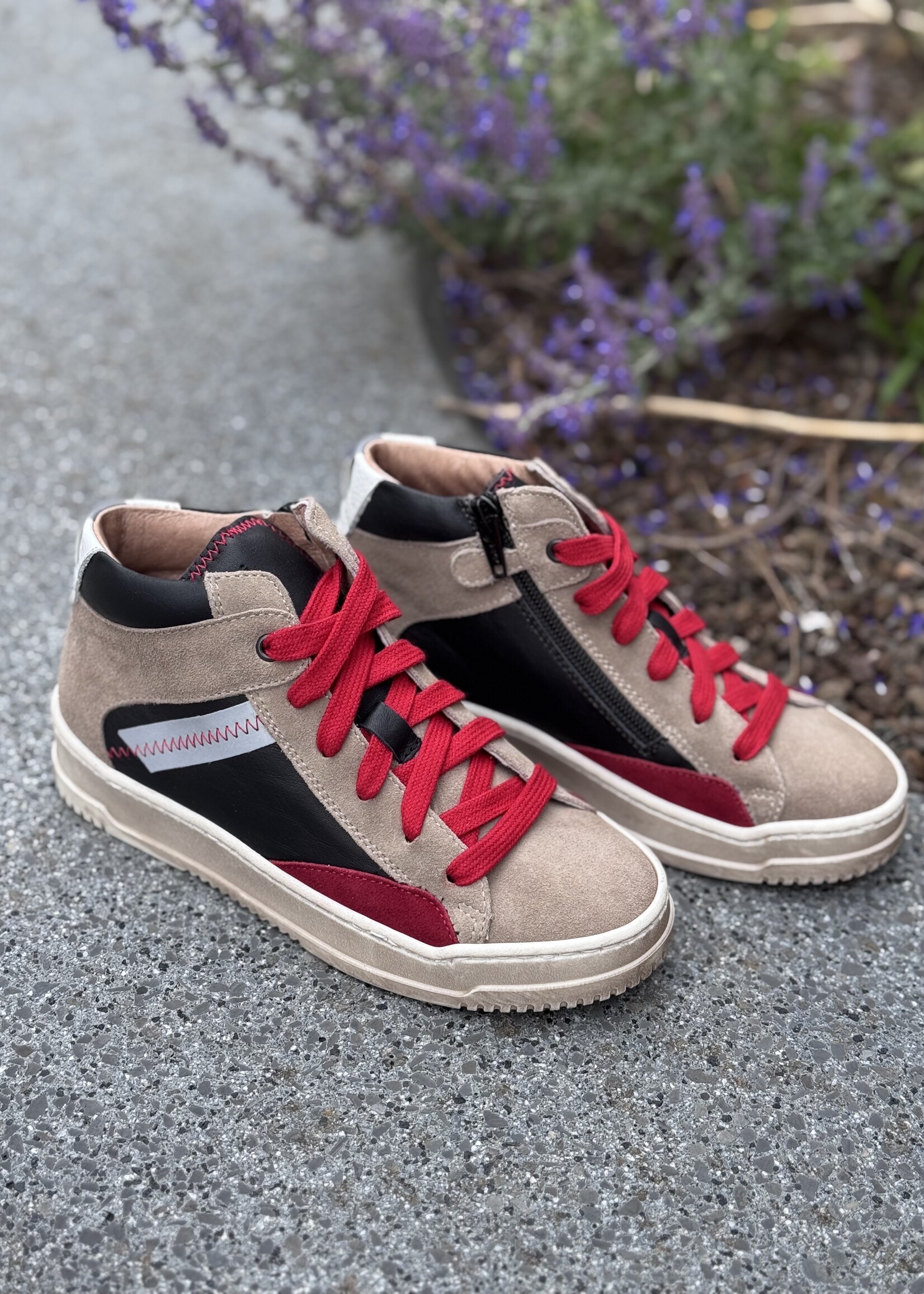 Dianetti hoge sneaker ardesia rosso