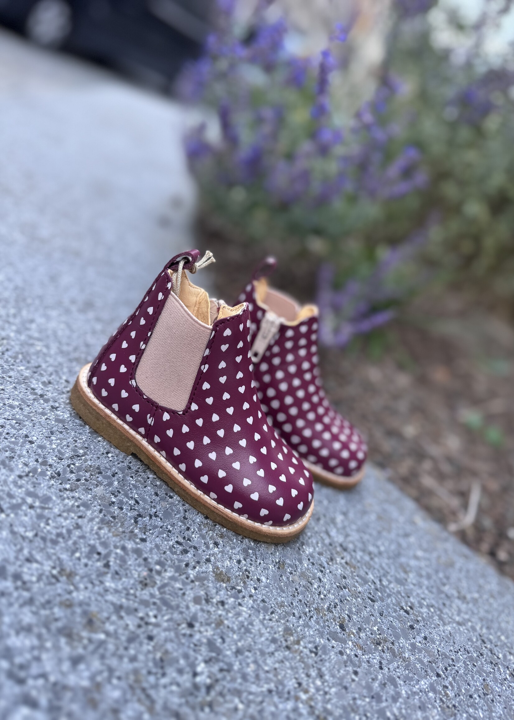 Angulus 6025-105 classic chelsea boot elastic & zipper berry hearts/rose