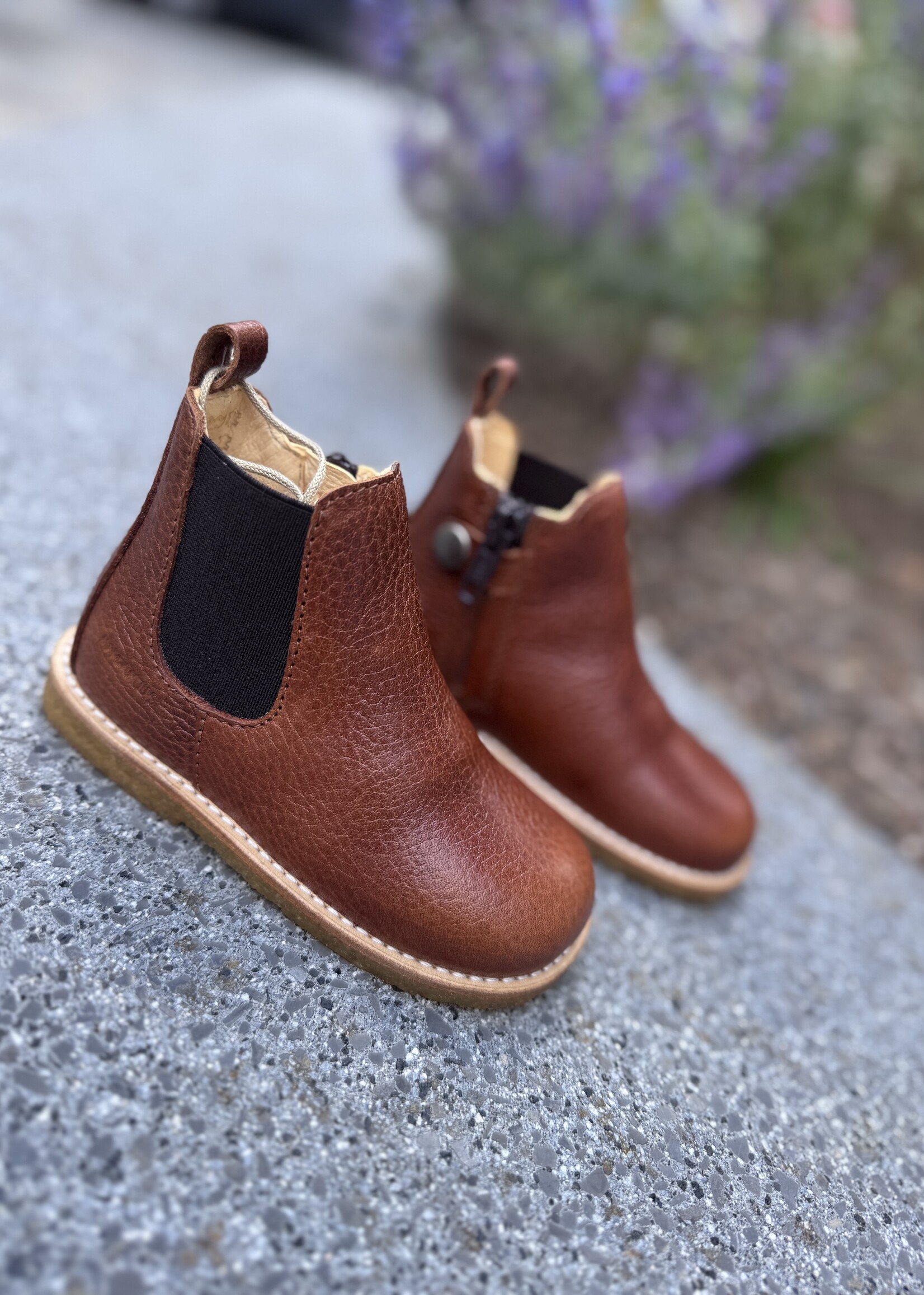 Angulus 6025-103 classic chelsea boot with elastic & zipper cognac medium brown