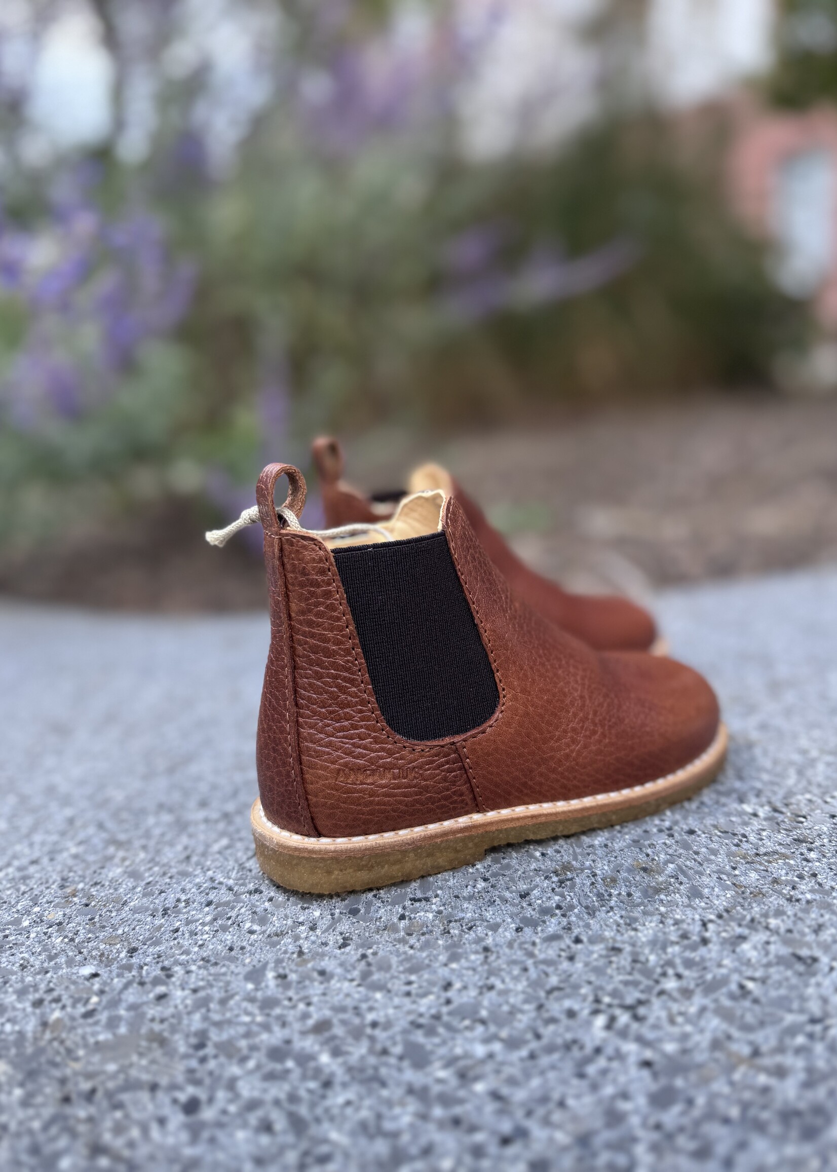 Angulus 6025-103 classic chelsea boot with elastic & zipper cognac medium brown