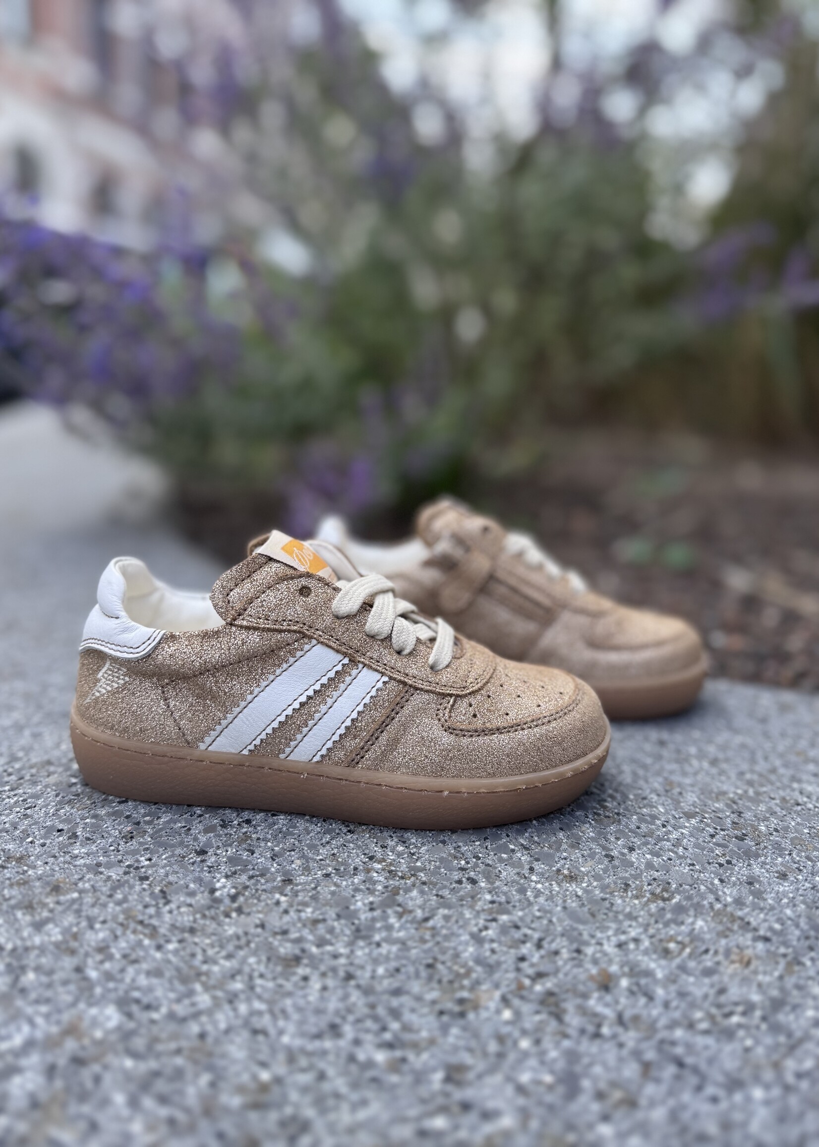 Ocra 126 chianti biscuit