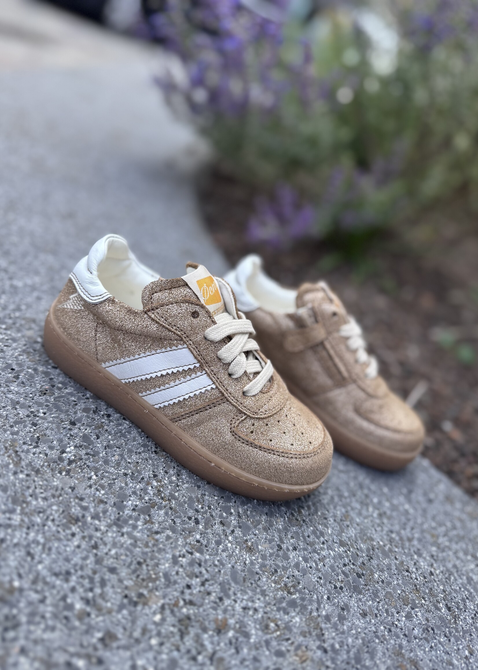 Ocra 126 chianti biscuit